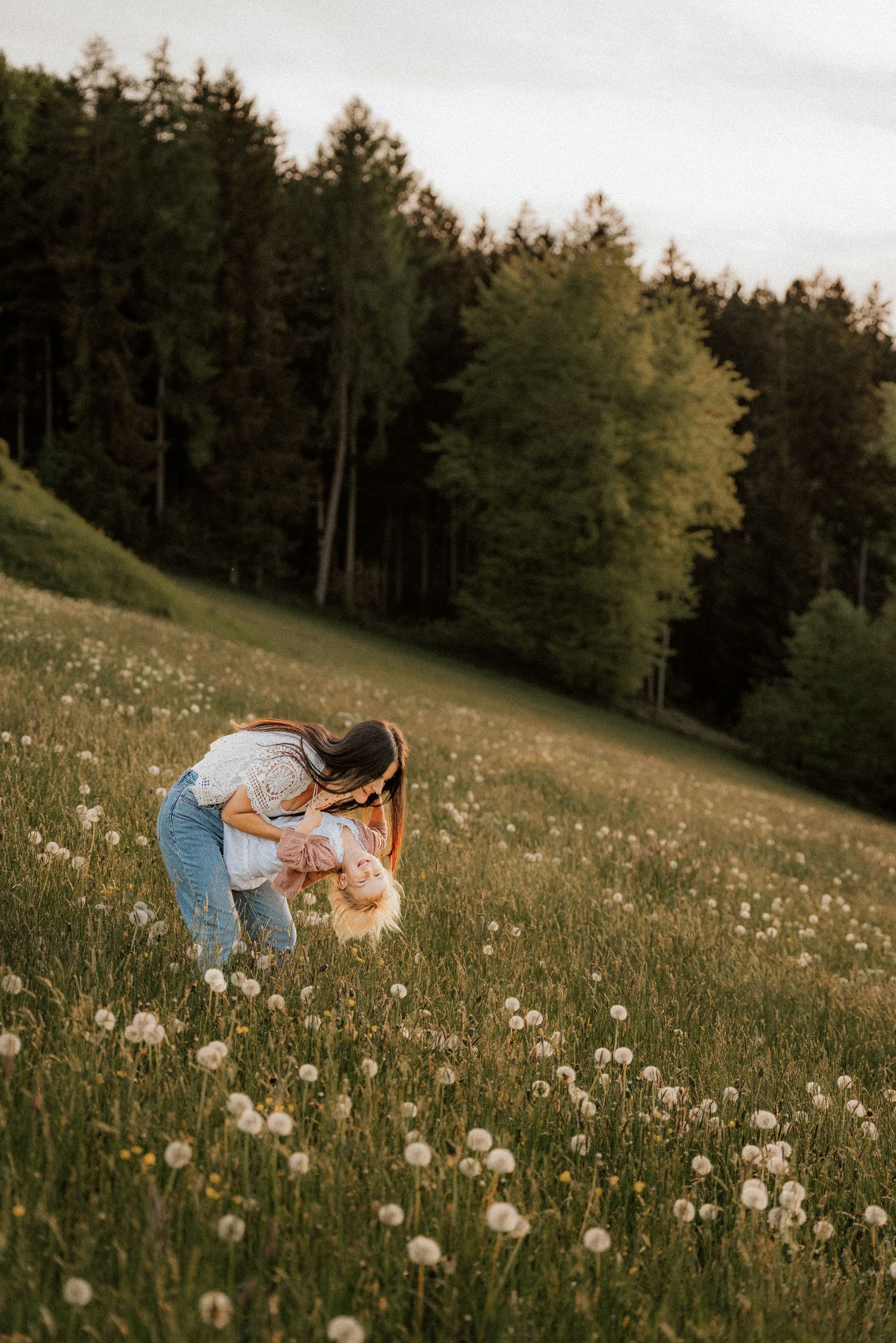 A person bending down to pick dandelions in a meadow with evergreen forest in the background.