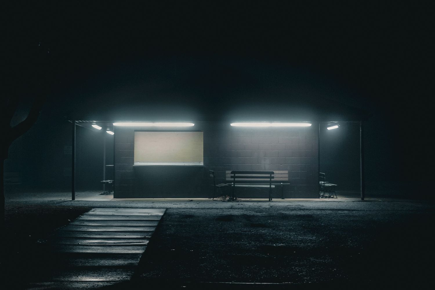 Night Scene