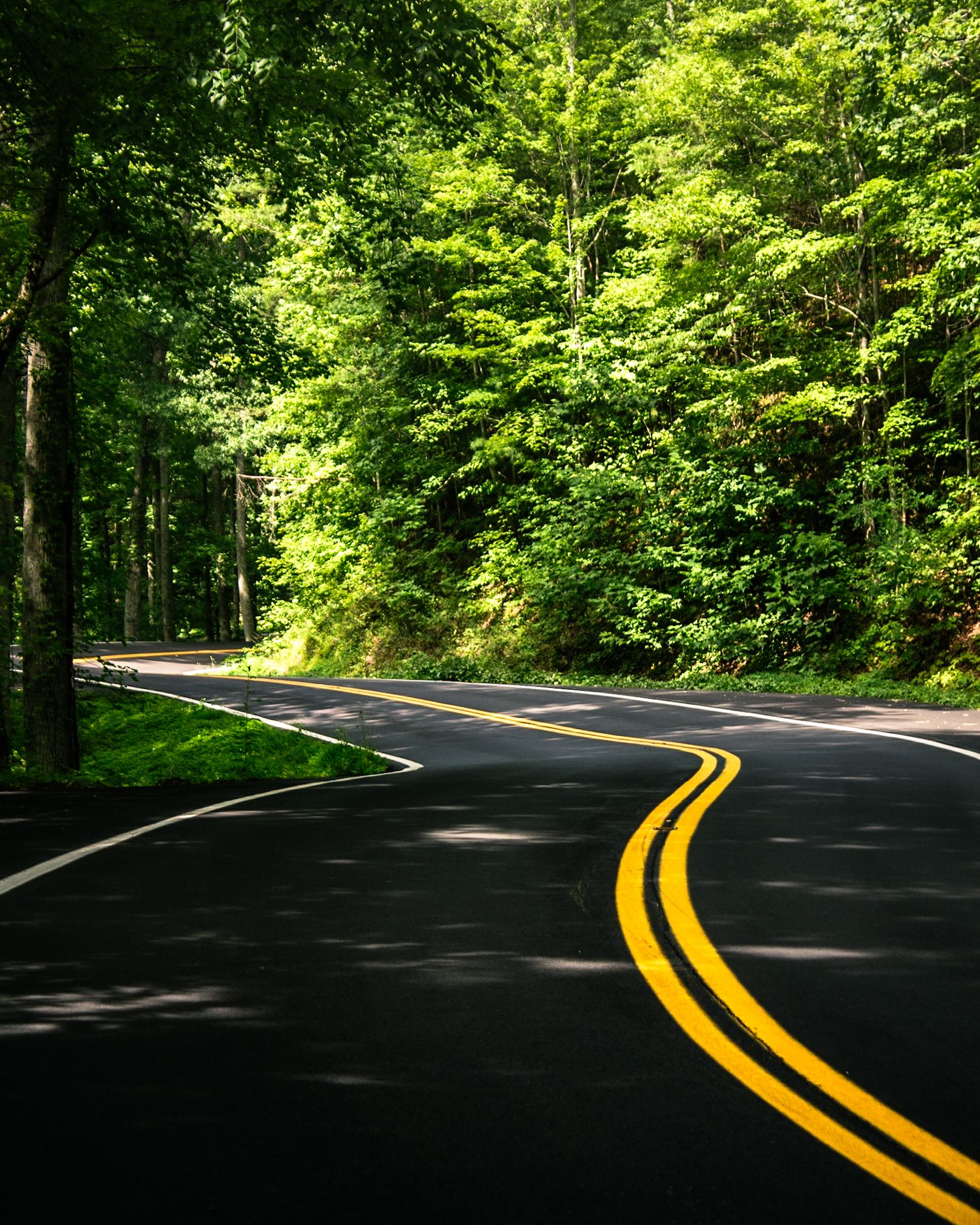 Tail of the dragon road