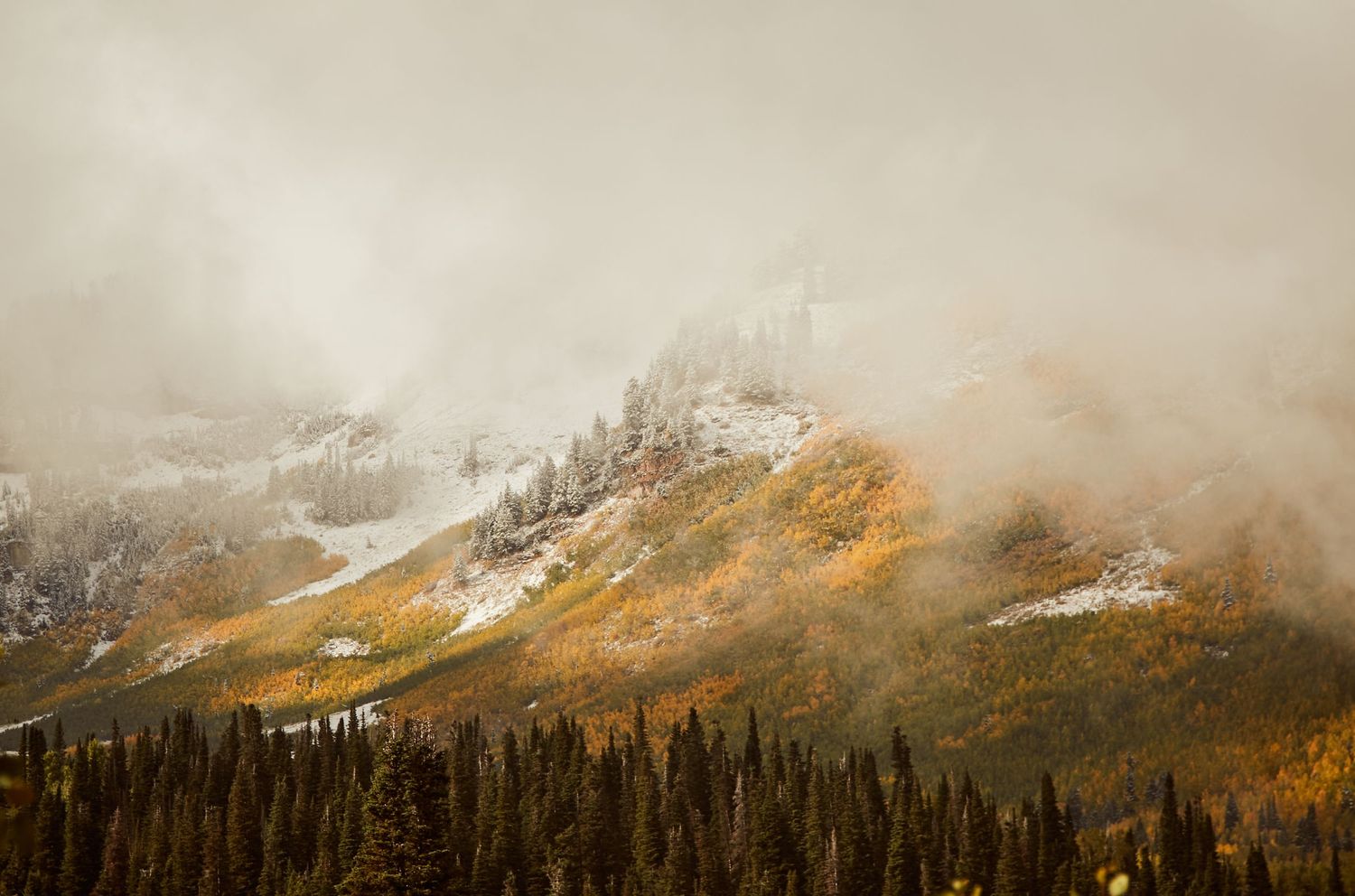 Misty mountain landscape with autumn colors and snow-dusted peaks emerging through fog.