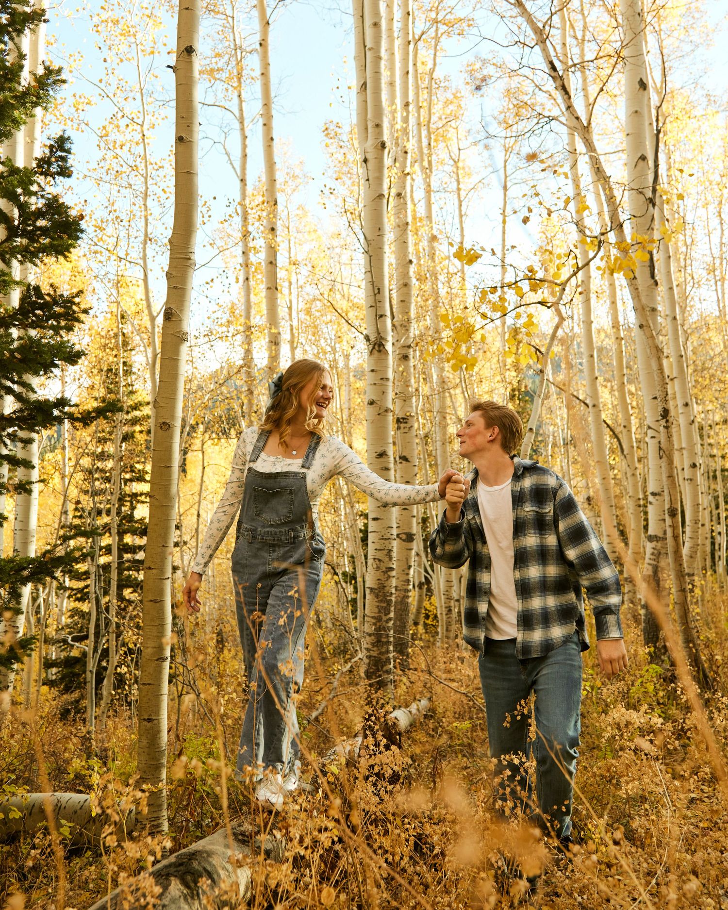 Couple holding hands while walking through a golden aspen forest in autumn.