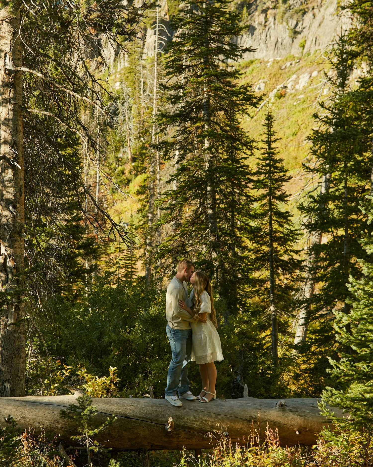 Couple standing together on a fallen log in a majestic forest setting.