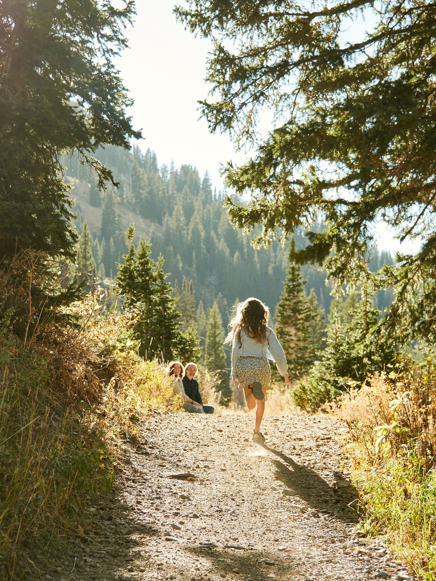 Person walking on mountain trail with evergreen forest and scenic valley views.