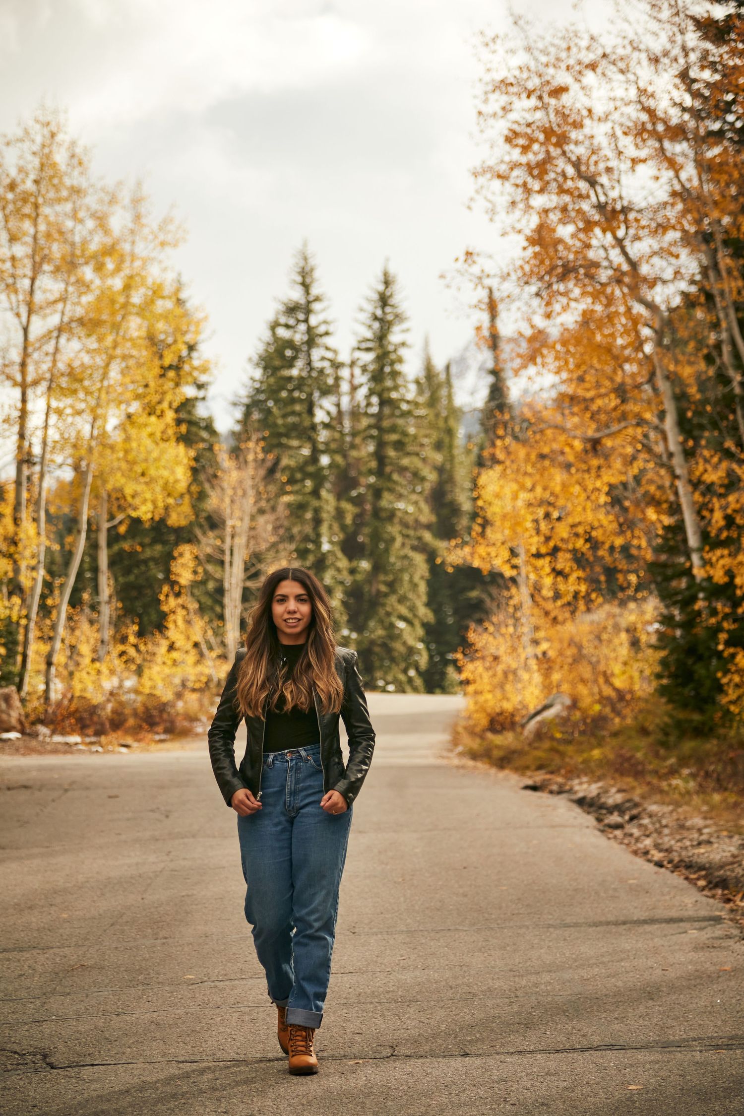 Figure walks alone on path surrounded by vibrant yellow fall foliage and evergreen trees.
