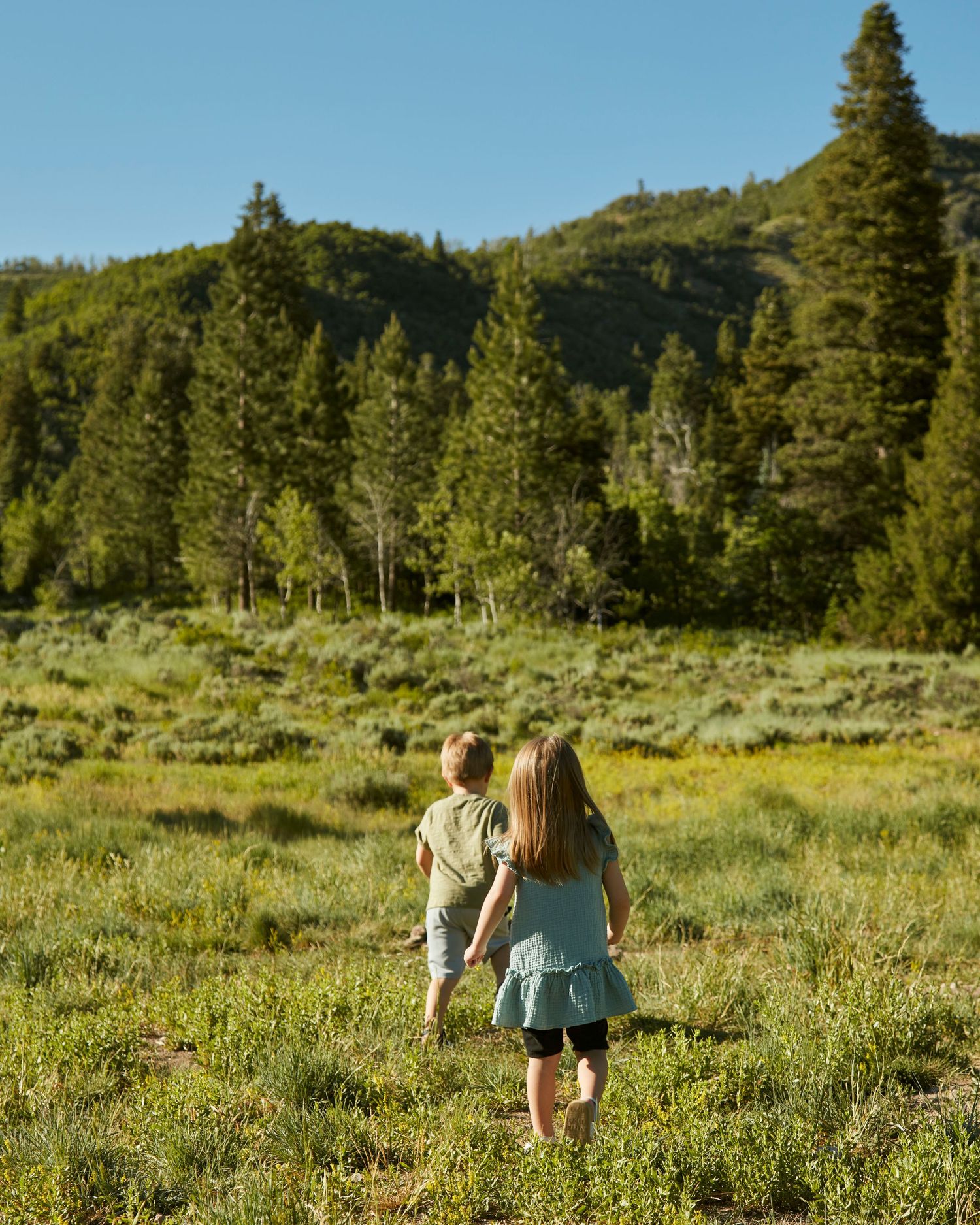 Two children walking through a sunny mountain meadow with evergreen trees in the background.
