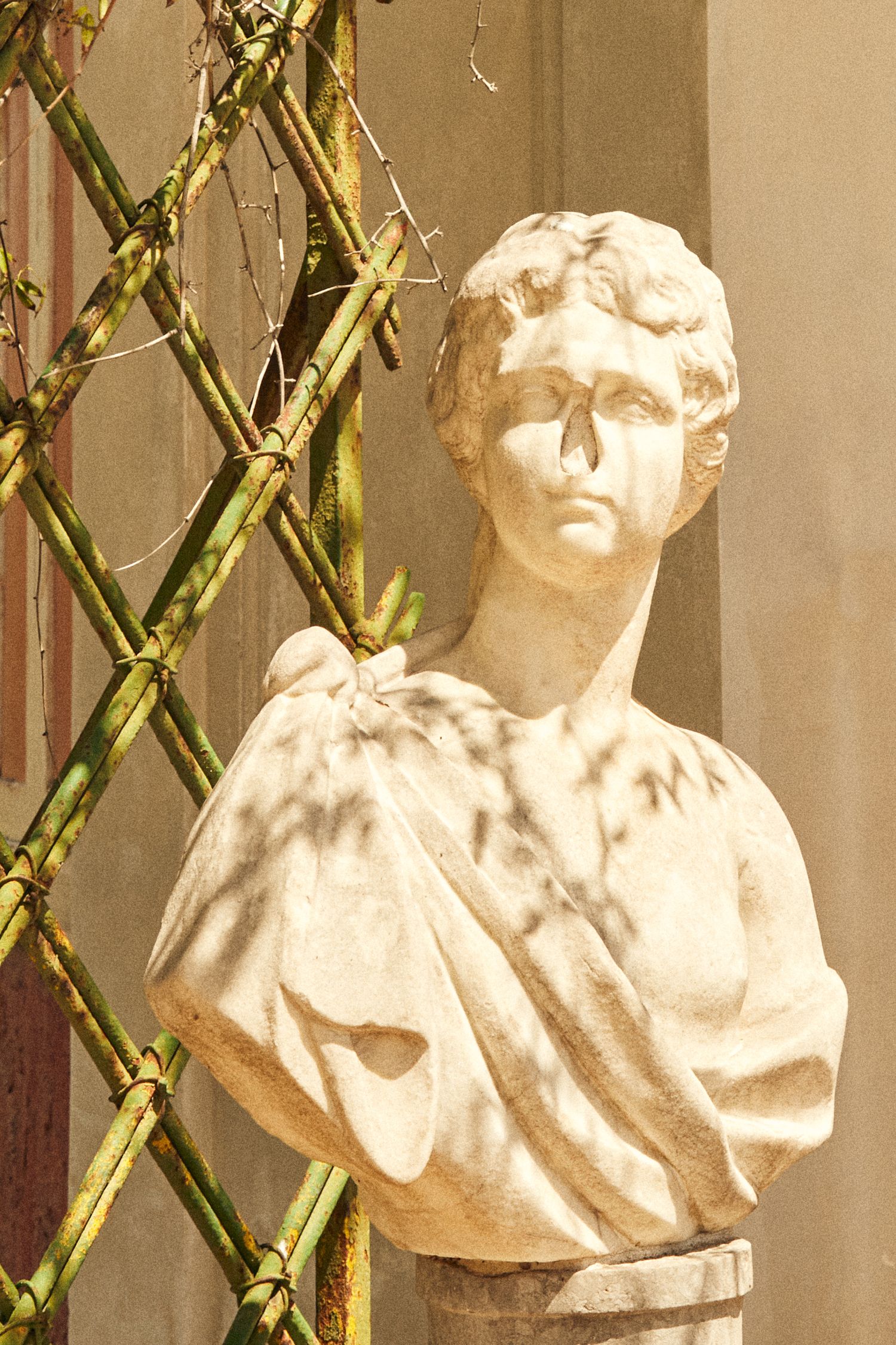 Classical marble bust against a latticed garden trellis backdrop.