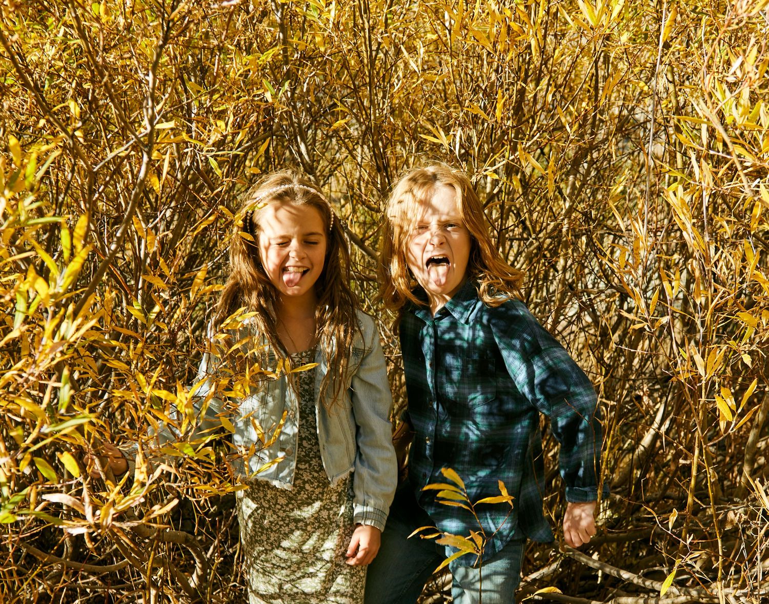 Two children making silly faces while standing in tall golden grass.