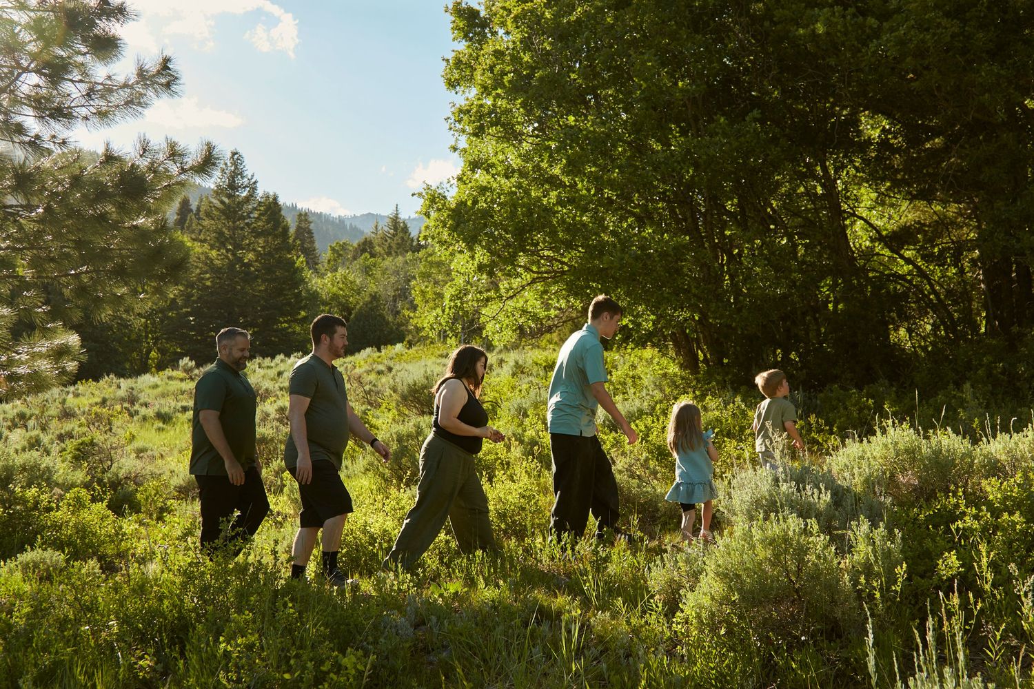 Group hiking through lush mountain terrain on a sunny summer day.
