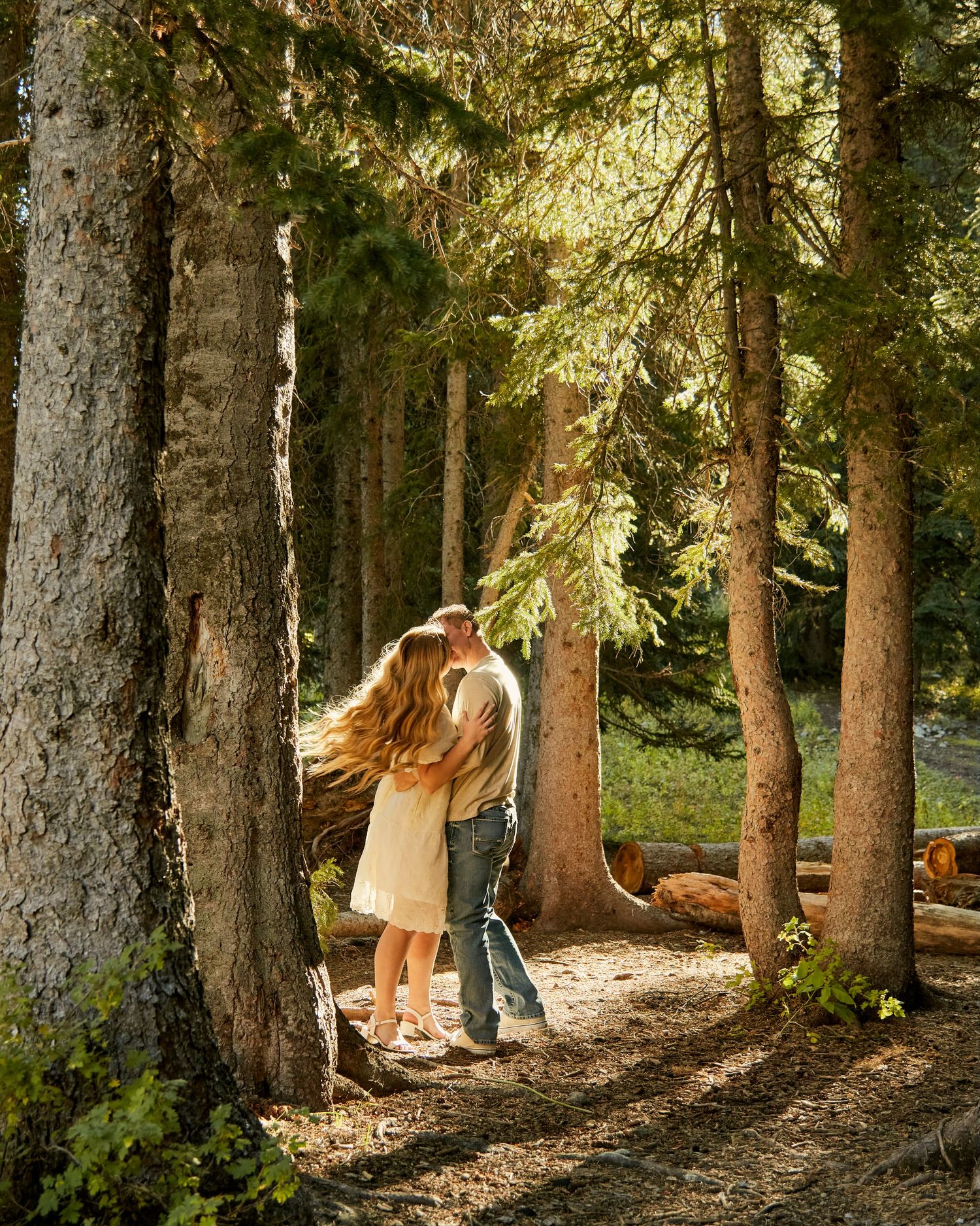 A couple sharing an intimate moment among towering pine trees in dappled sunlight.