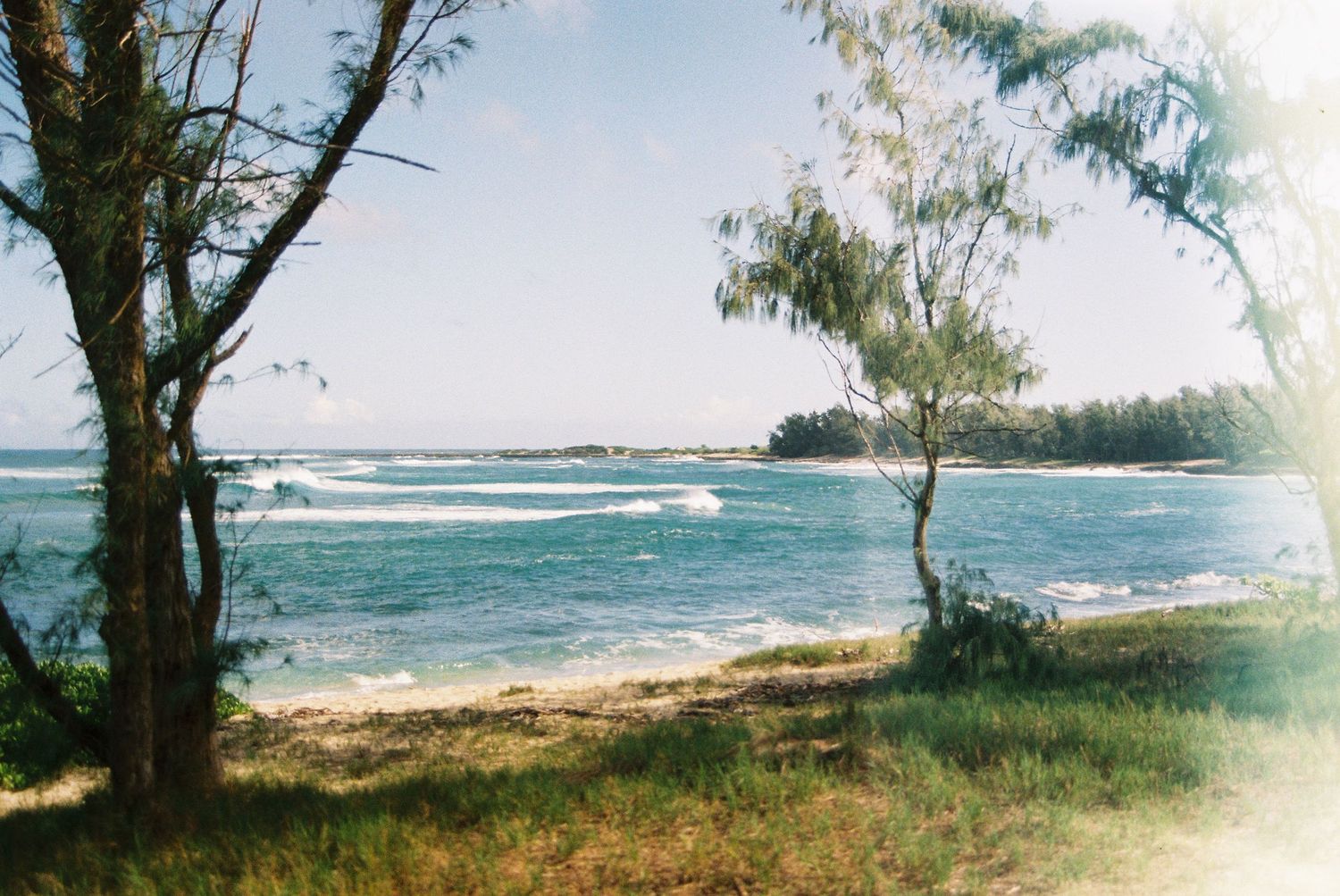 Tropical beach scene with crystal blue waters framed by trees on a sunny day.