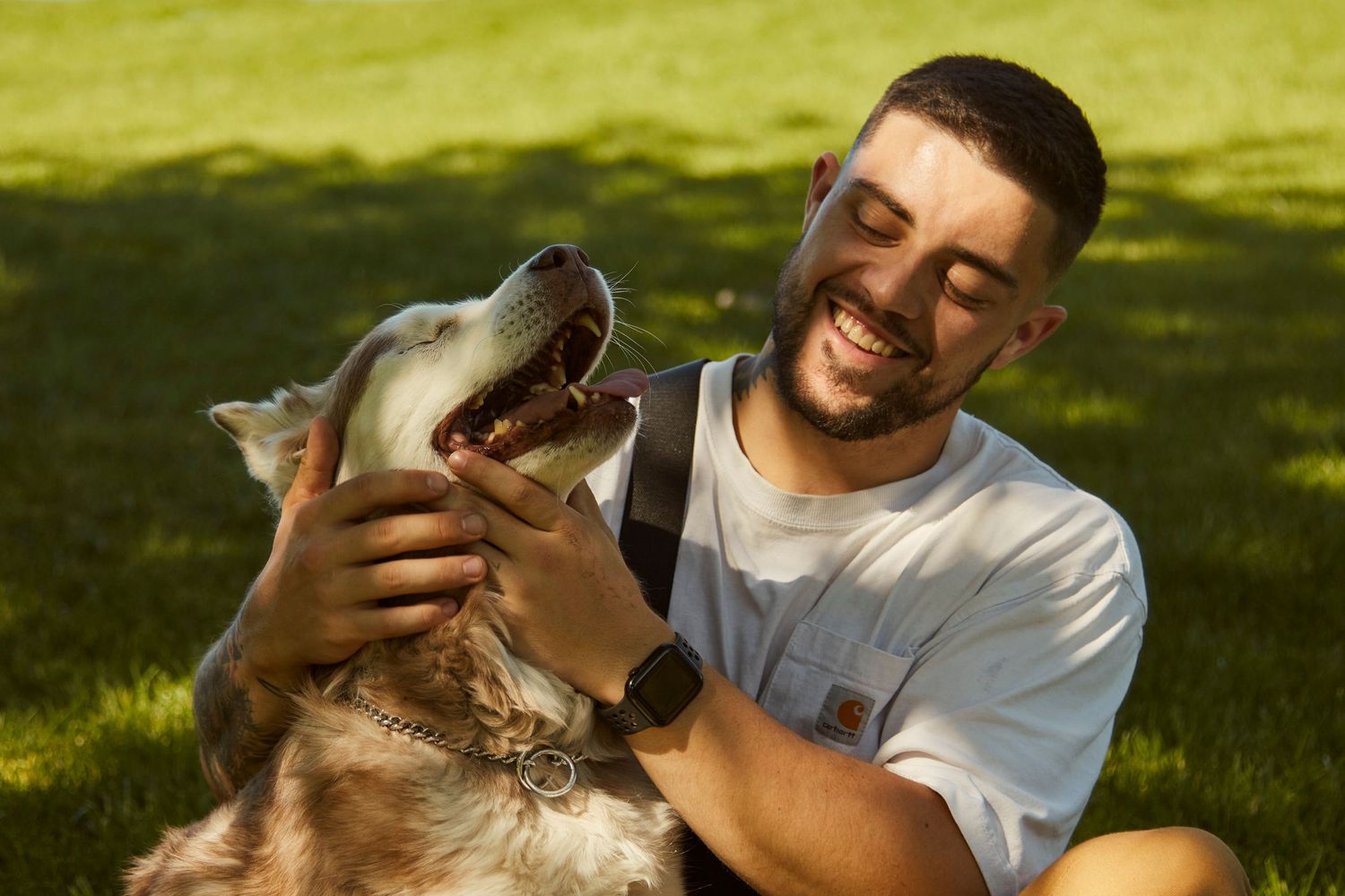 A happy husky dog with its owner laughs and plays together on sunny grass during a warm summer day.