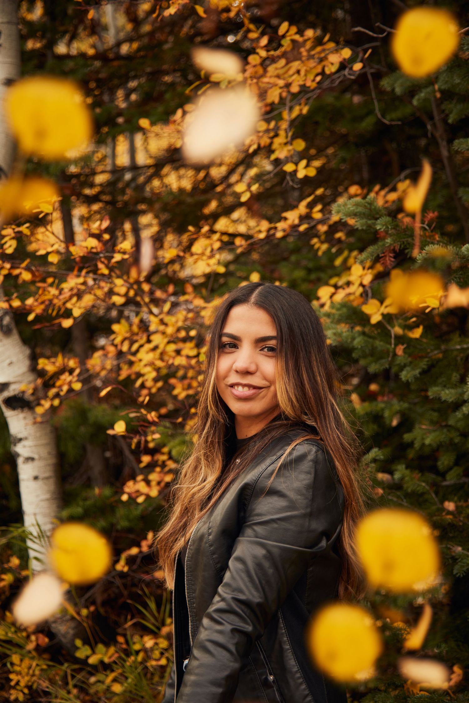 Autumn scene with golden leaves and bokeh lighting effects in mountain forest setting.