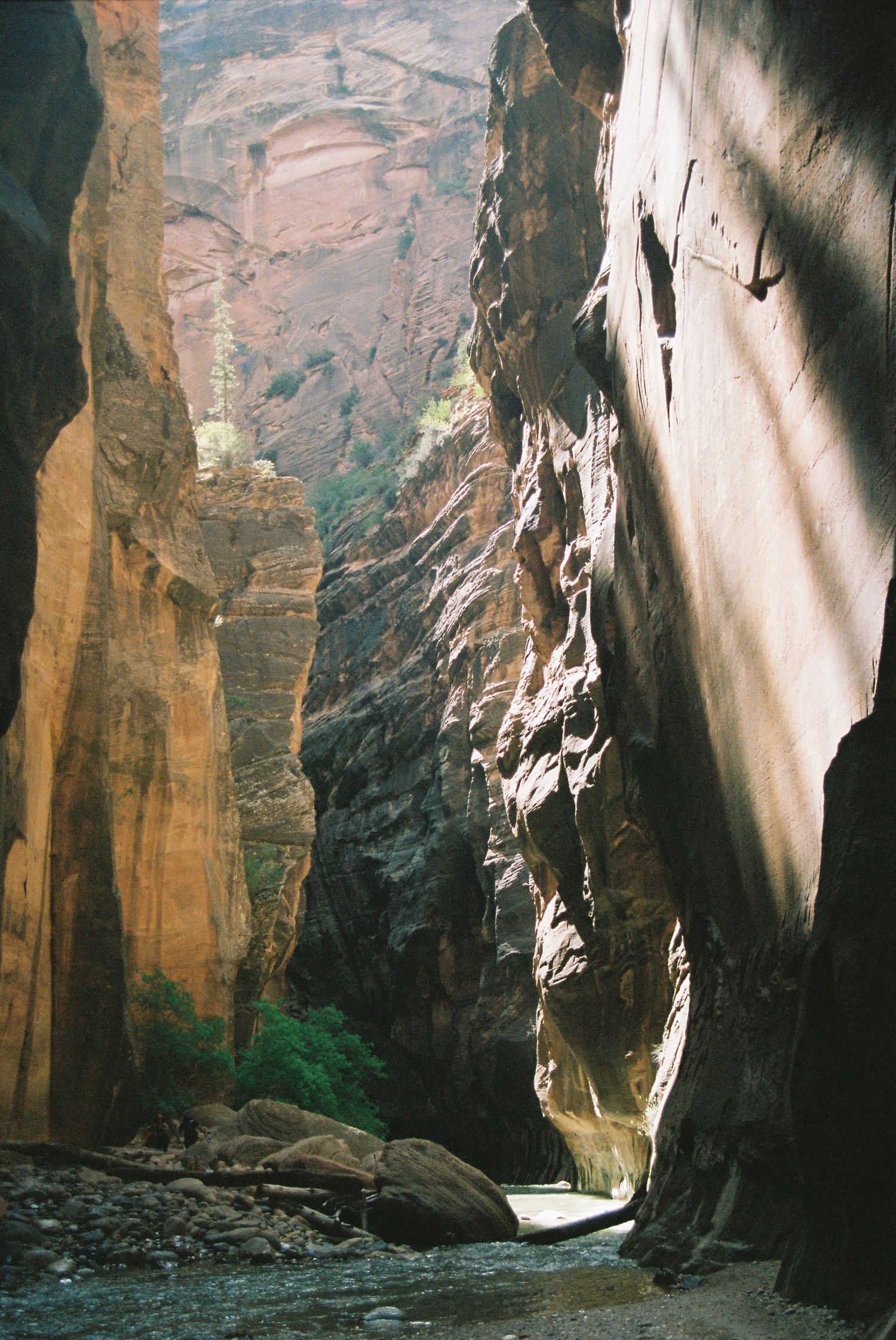 Sunlight streams through a narrow slot canyon with towering red rock walls and a small stream flowing below.