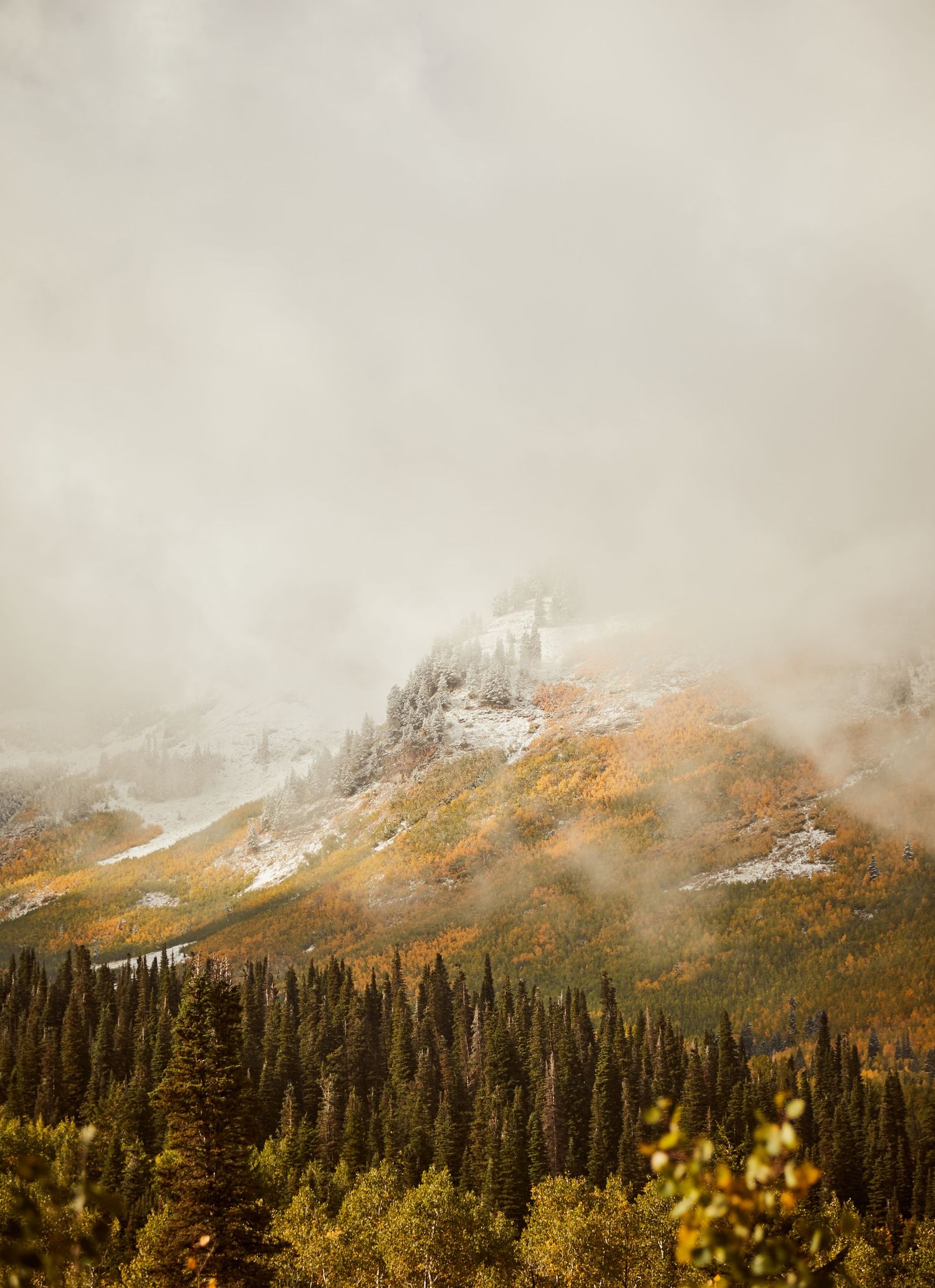 Golden autumn foliage contrasts with snow-capped peaks shrouded in morning mist.