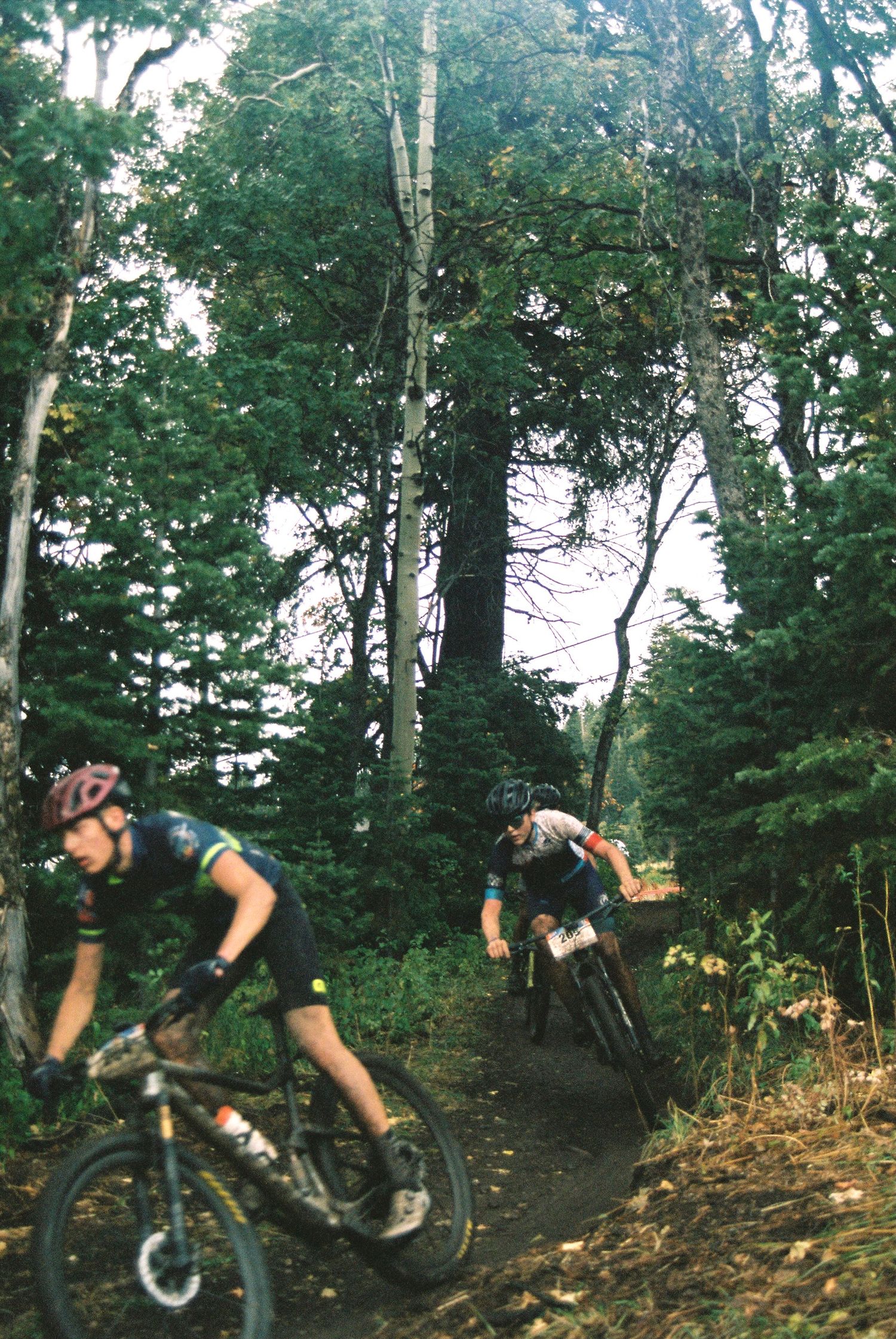 Mountain bikers riding down a forested dirt trail through trees.