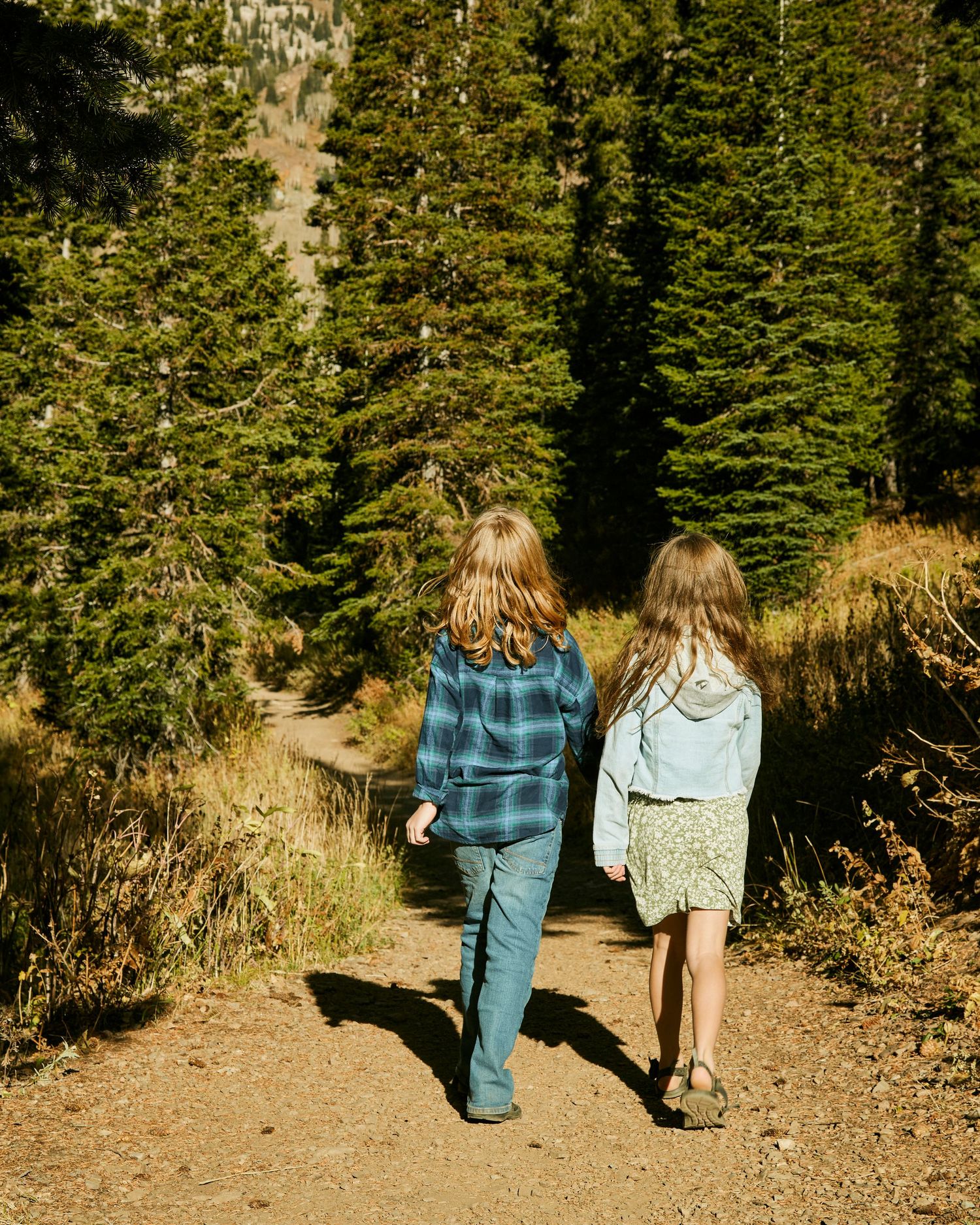 Two people walking together on a forest trail surrounded by tall evergreen trees.