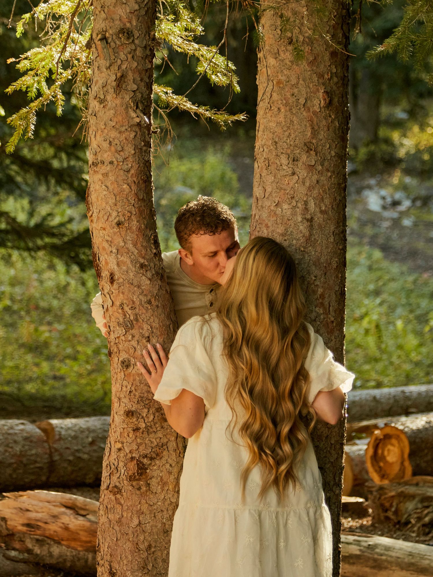 A romantic forest moment between two figures among tall pine trees.