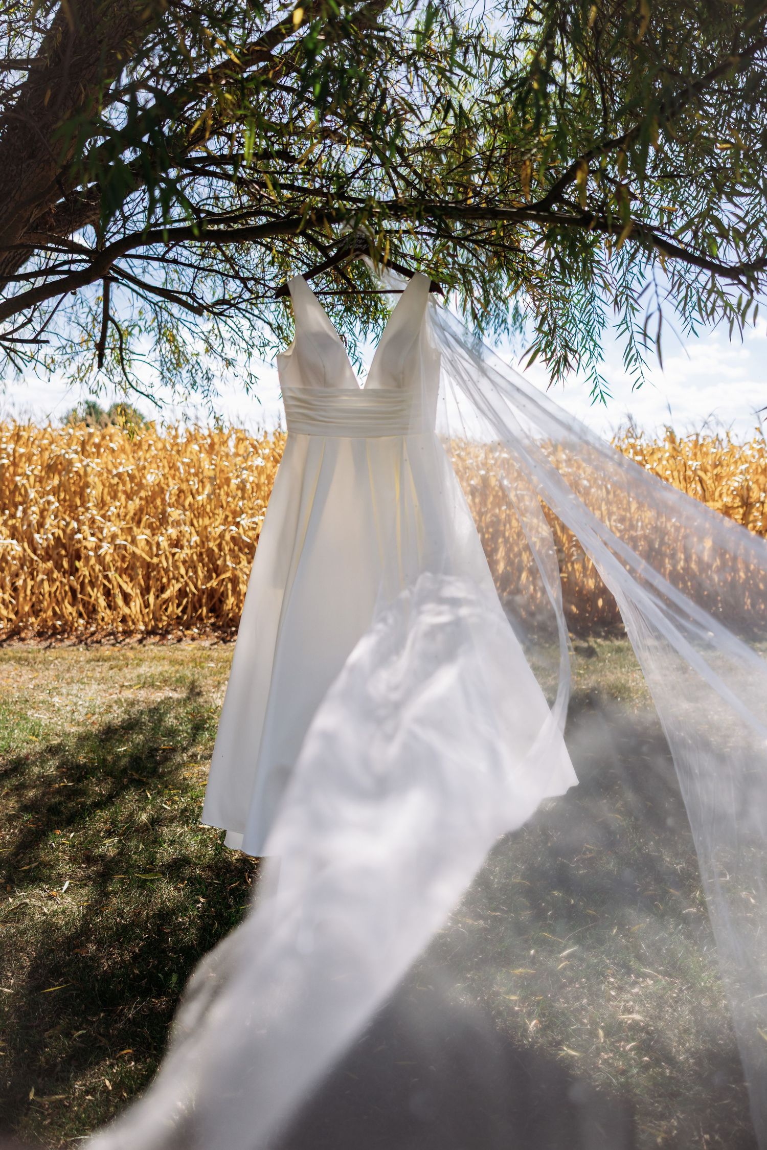 A white veil or fabric blowing in the wind against a backdrop of cornfields and trees on a sunny day.