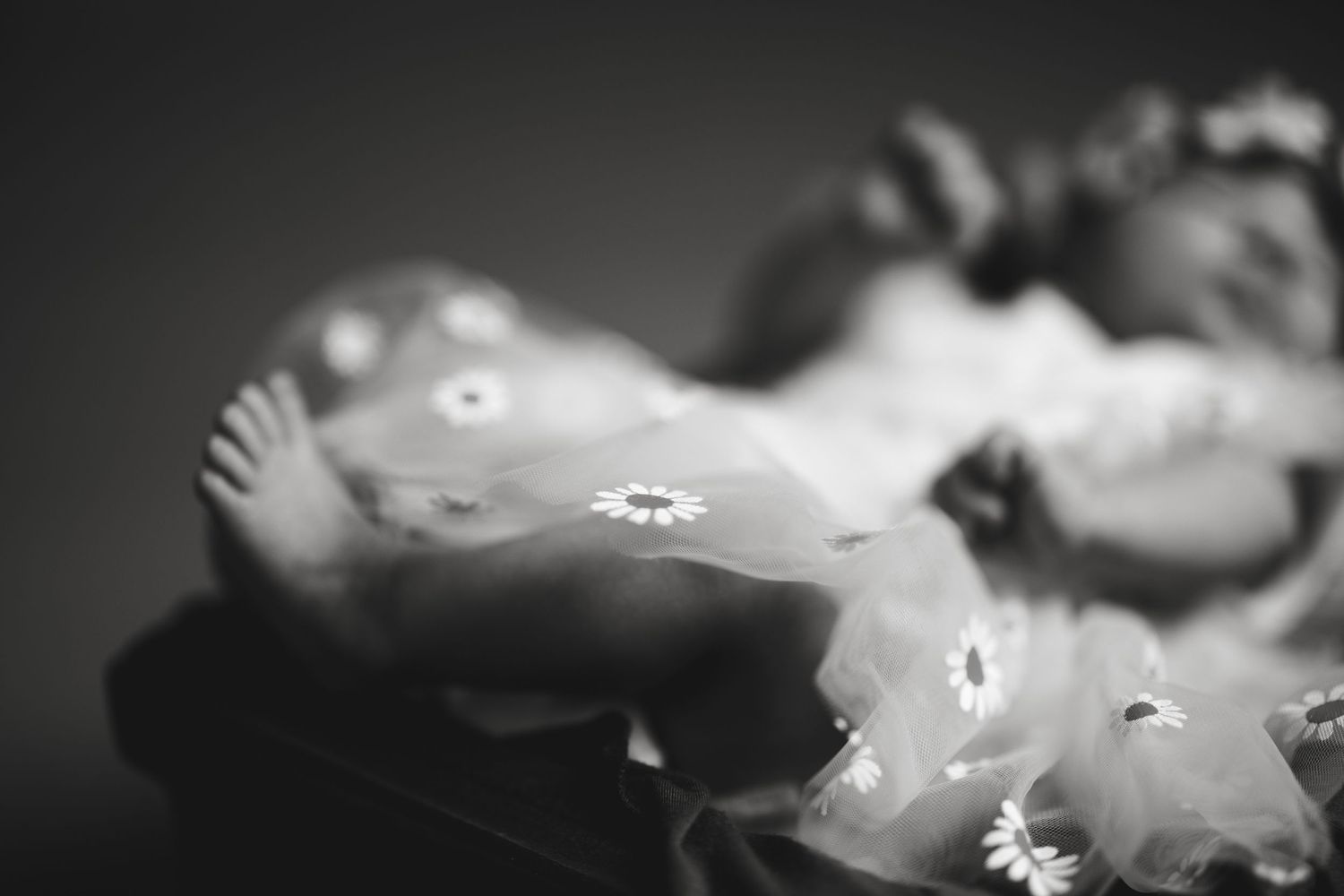 An artistic black and white macro shot of water droplets with soft bokeh effect.