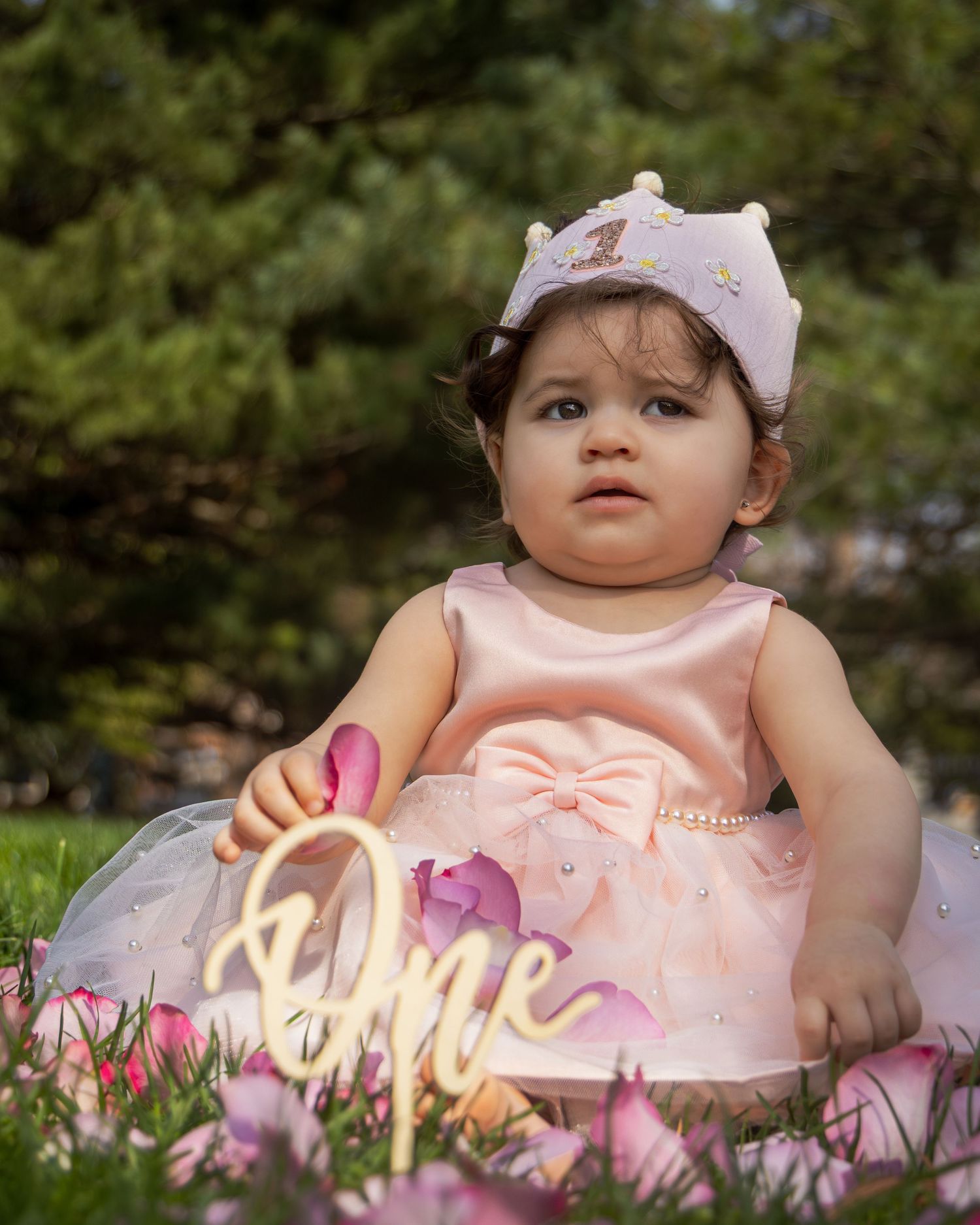 Baby wearing pink tulle dress and crown sitting among flowers with gold 'One' sign.