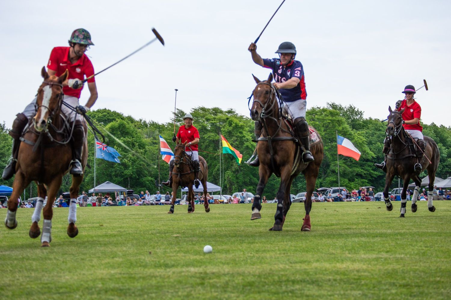 Polo players on horseback compete on a green field during a sunny outdoor match with spectators and flags in the background.