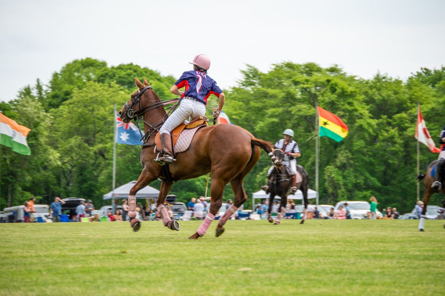 Polo player on brown horse galloping across green field with colorful flags and spectators in background.