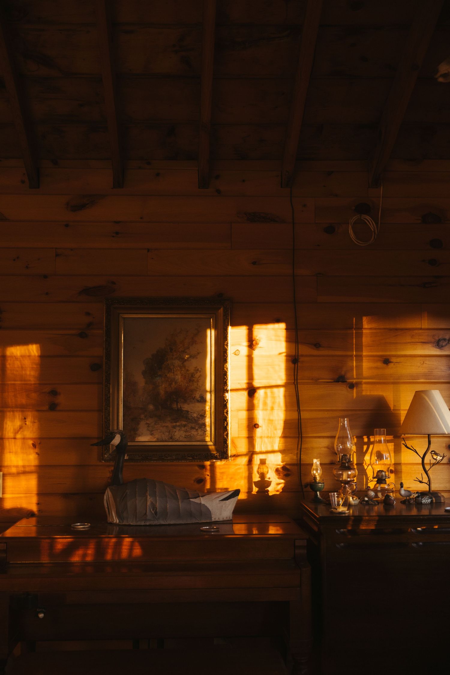 Warm sunset light streams through windows in a rustic cabin, casting long shadows across wooden shelves and countertops.