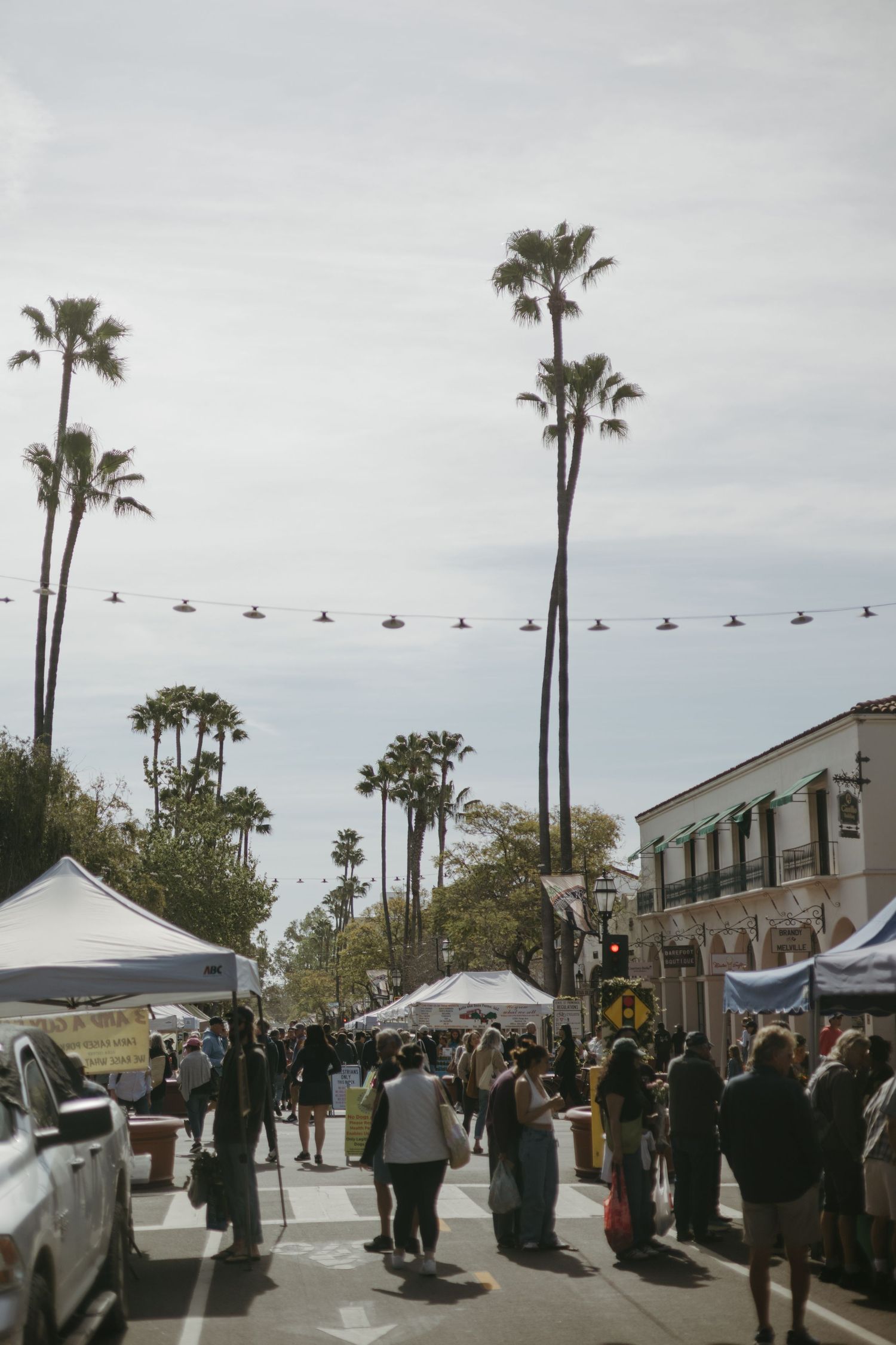 People gather at an outdoor market event with palm trees and string lights along a street in a coastal town.