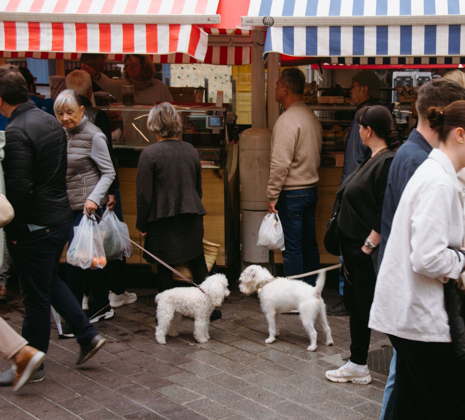 Busy market scene with striped awnings and small white dogs on leashes.