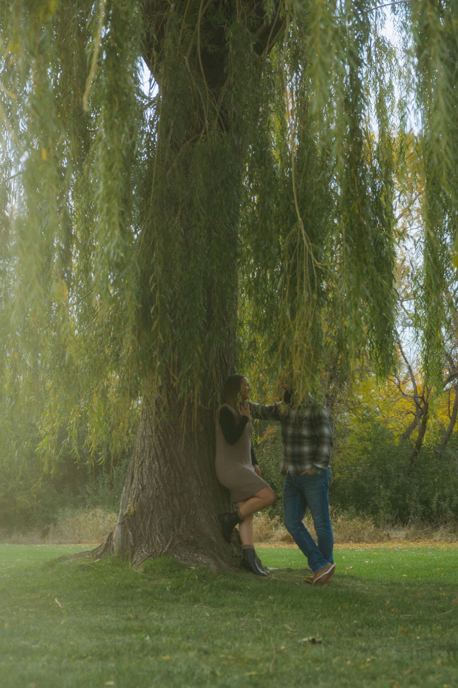 A sequence of someone walking behind a large weeping willow tree shown in four progressive frames.
