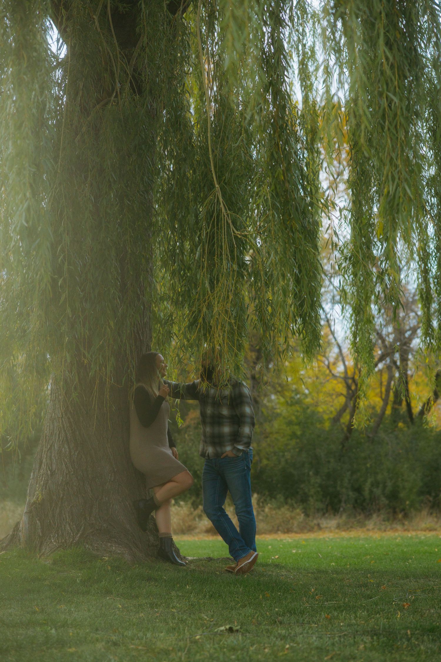 A sequence of photos showing a person falling down while leaning against a willow tree in a grassy park setting.