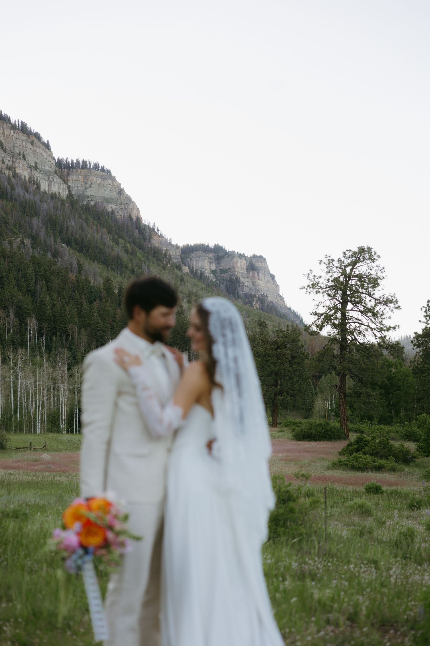 Bride and groom embrace in a mountain meadow, with pine trees and rocky cliffs in the background.