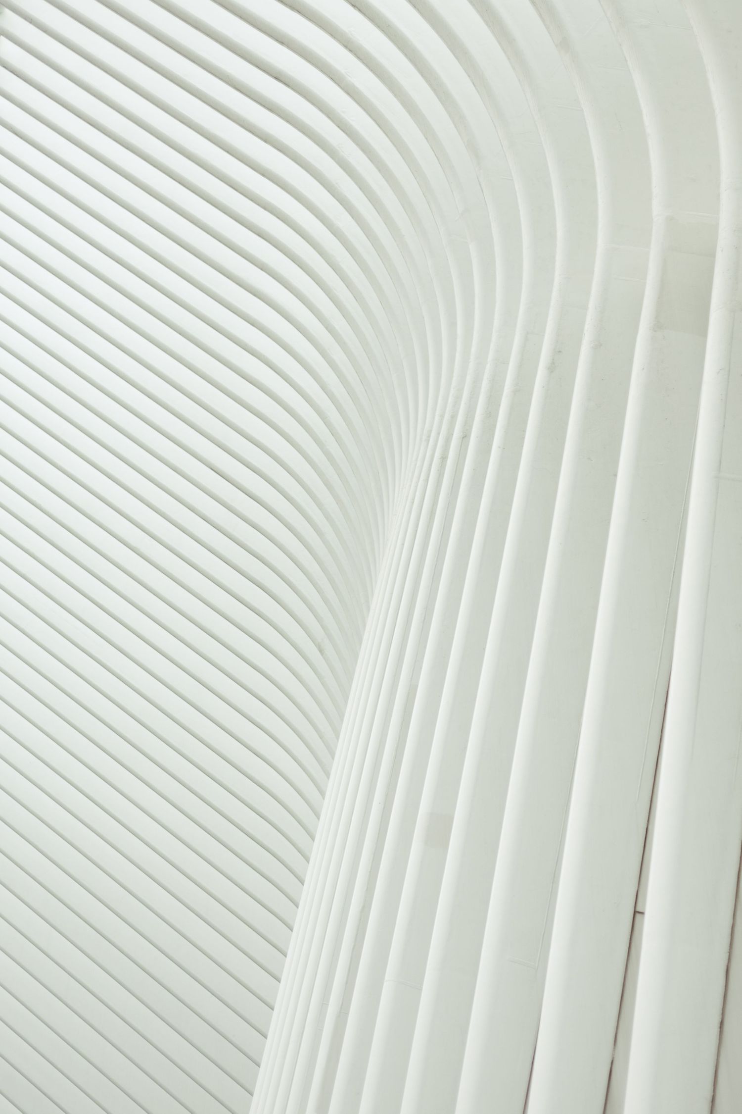 Abstract white architectural detail showing curved lines and parallel ridges creating a minimalist geometric pattern.