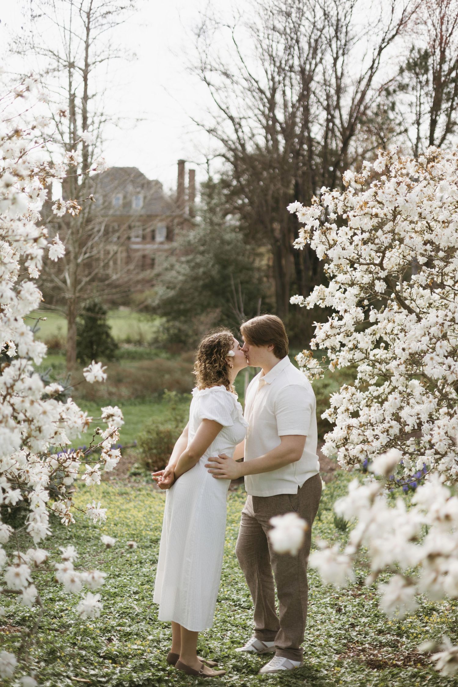 A romantic spring scene with blooming white cherry blossoms framing a couple standing in front of a historic mansion.
