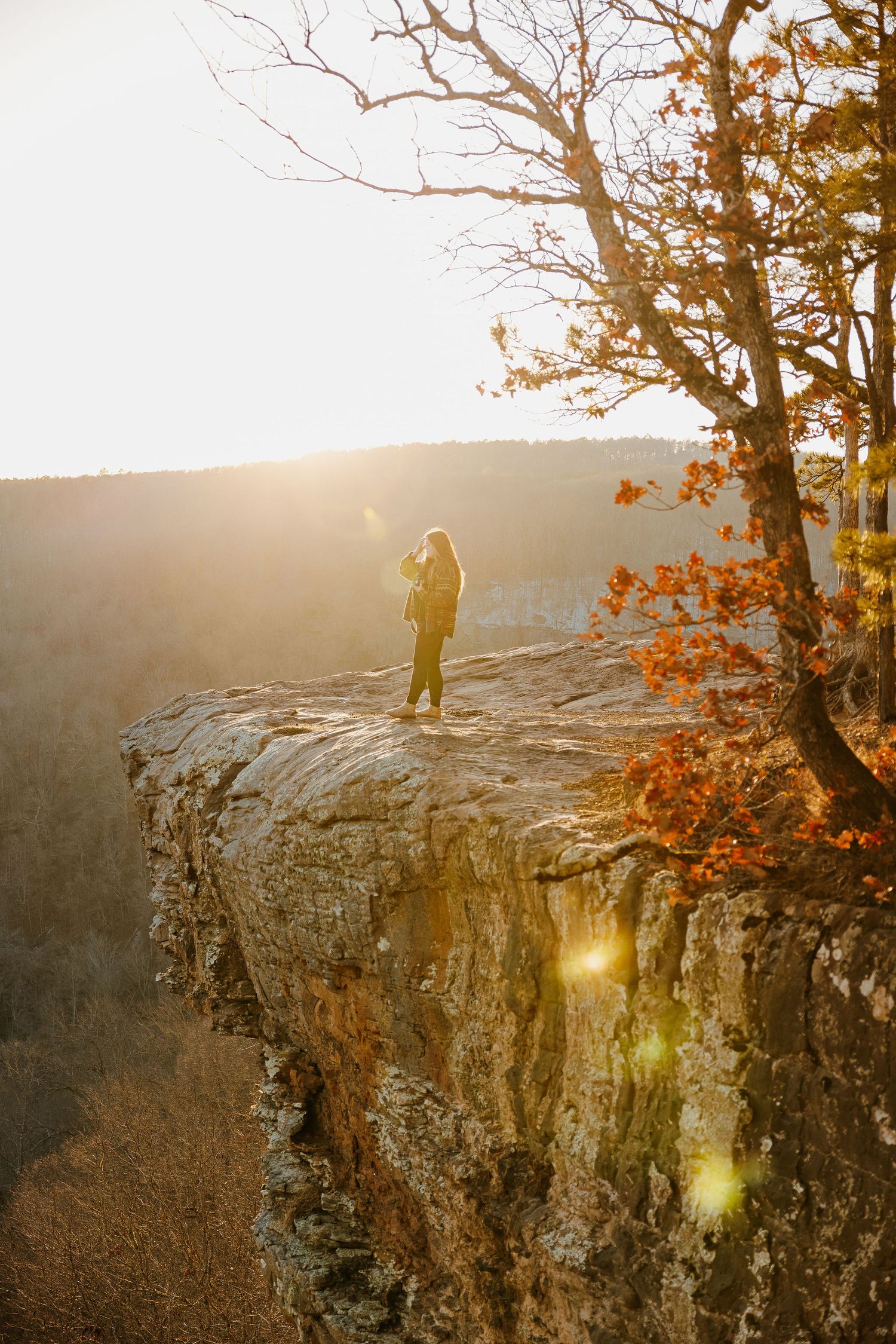 A silhouetted figure stands on the edge of a dramatic cliff at sunset with autumn foliage in the foreground.