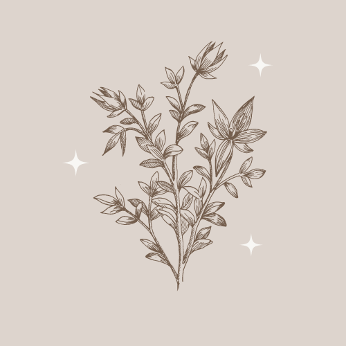 Delicate botanical illustration of flowers and leaves with sparkles on a beige background.