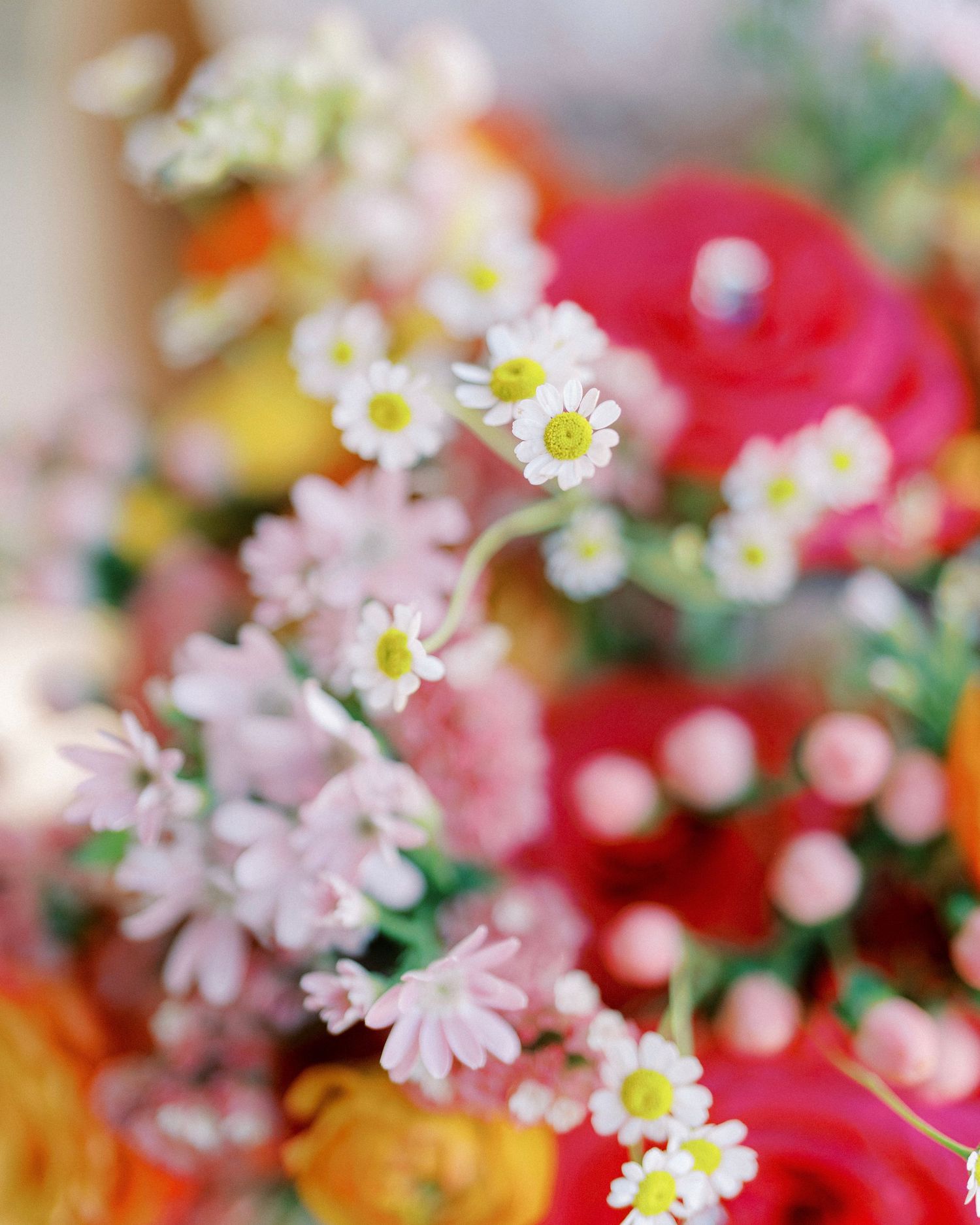 Delicate white and pink flowers with soft bokeh background create a dreamy spring garden scene.