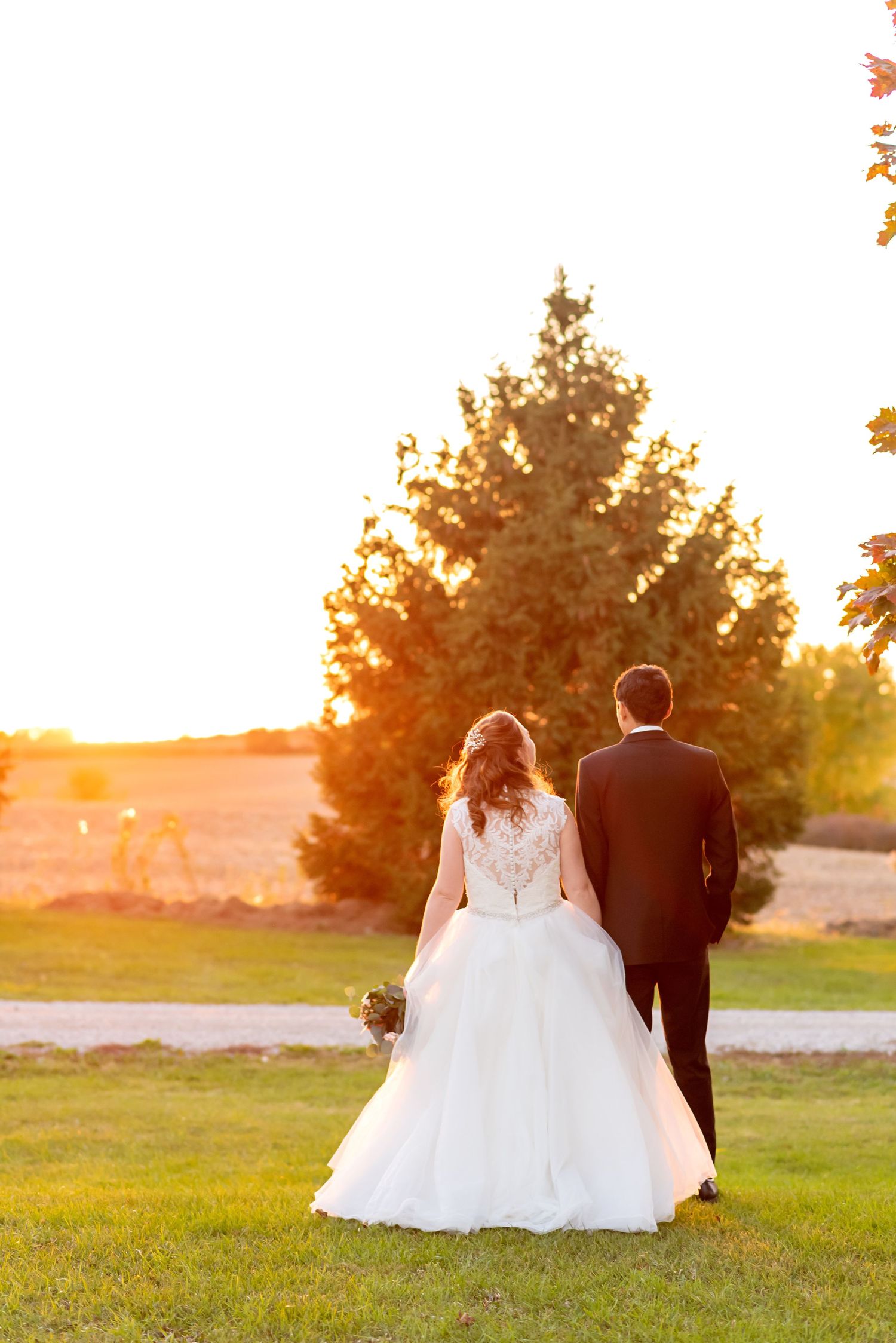 Bride and groom walking hand in hand at sunset on green lawn with trees glowing in golden light.