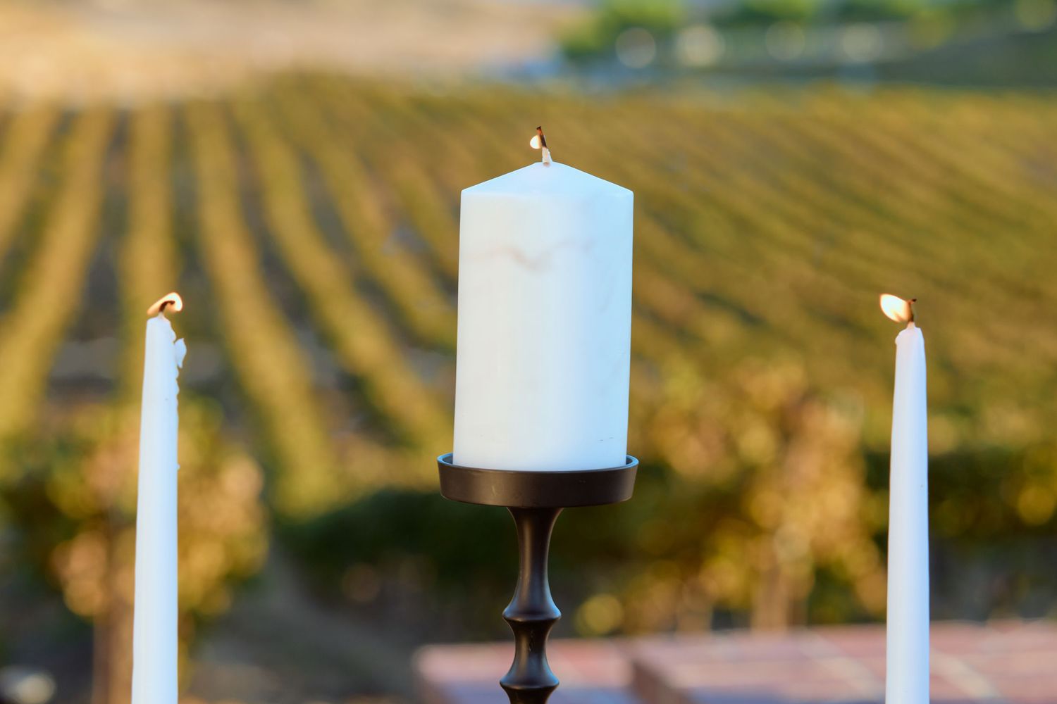 White pillar candle on black stand flanked by taper candles with blurred vineyard rows in golden afternoon light.
