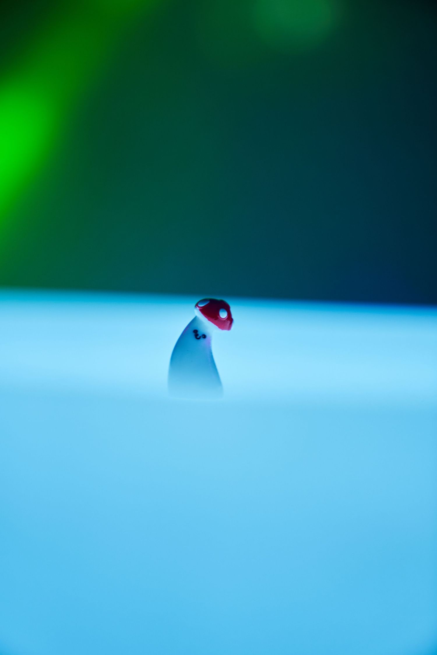 Minimalist photo of small bird figure against blue background with green gradient.