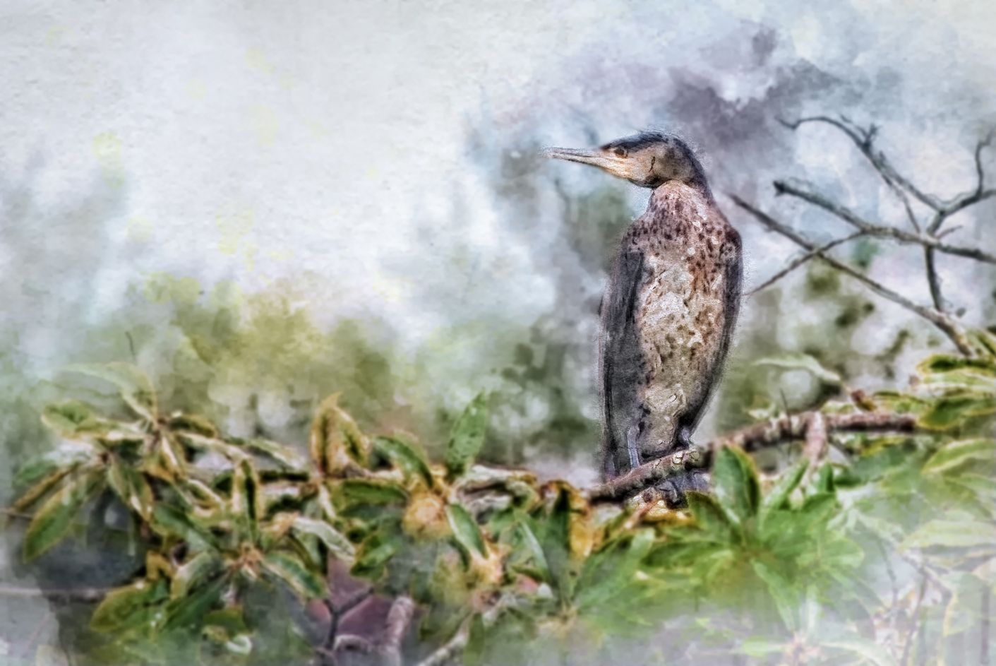 A watercolor painting of a speckled bird perched on a leafy branch surrounded by soft, misty green foliage.