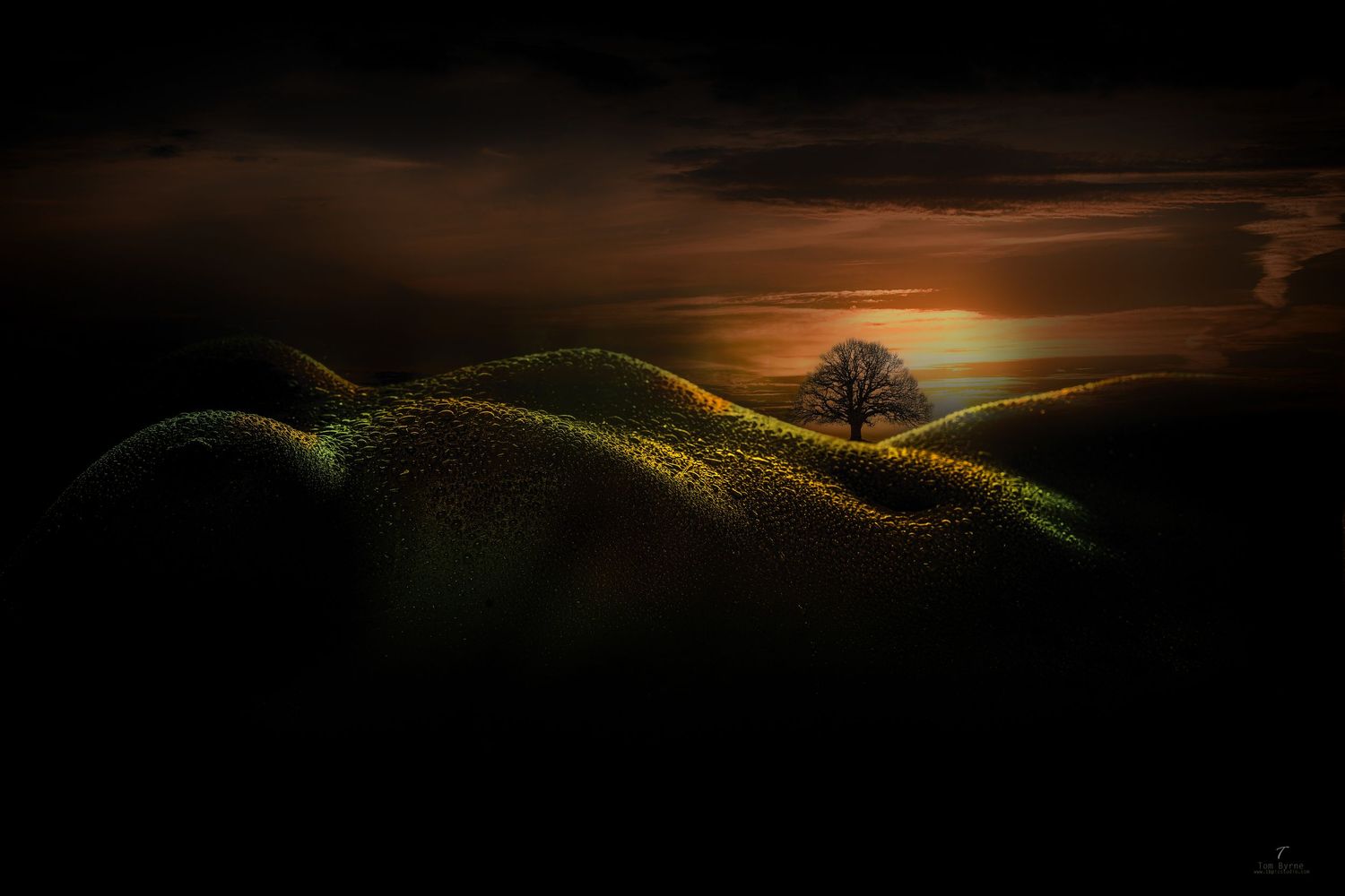 A lone tree stands on rolling hills bathed in golden sunset light against a dramatic dark stormy sky.