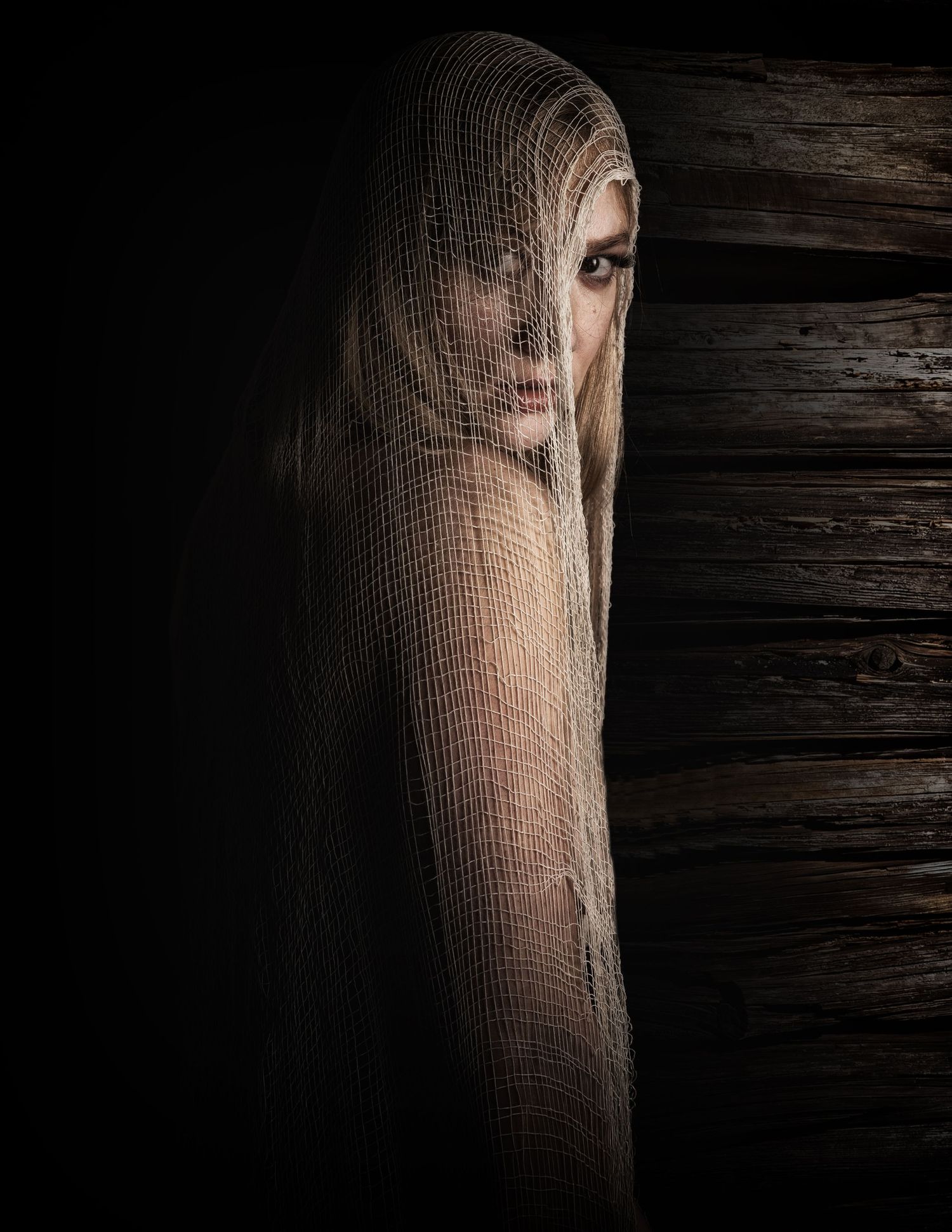 A mysterious figure draped in sheer mesh fabric stands against dark wood, creating an eerie, ghostly portrait.
