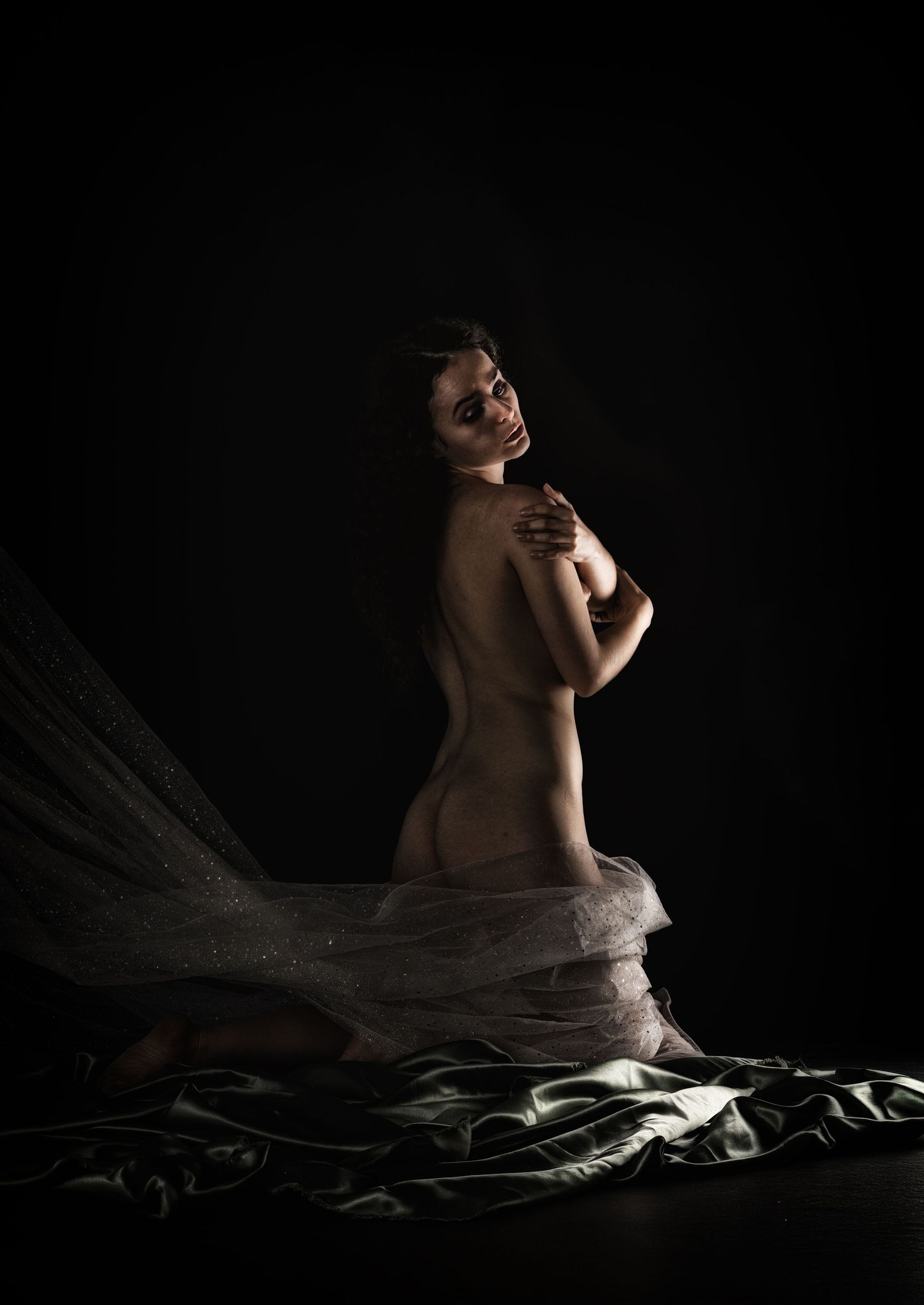 A woman poses gracefully against a dark background, draped in flowing sheer fabric in a fine art portrait.