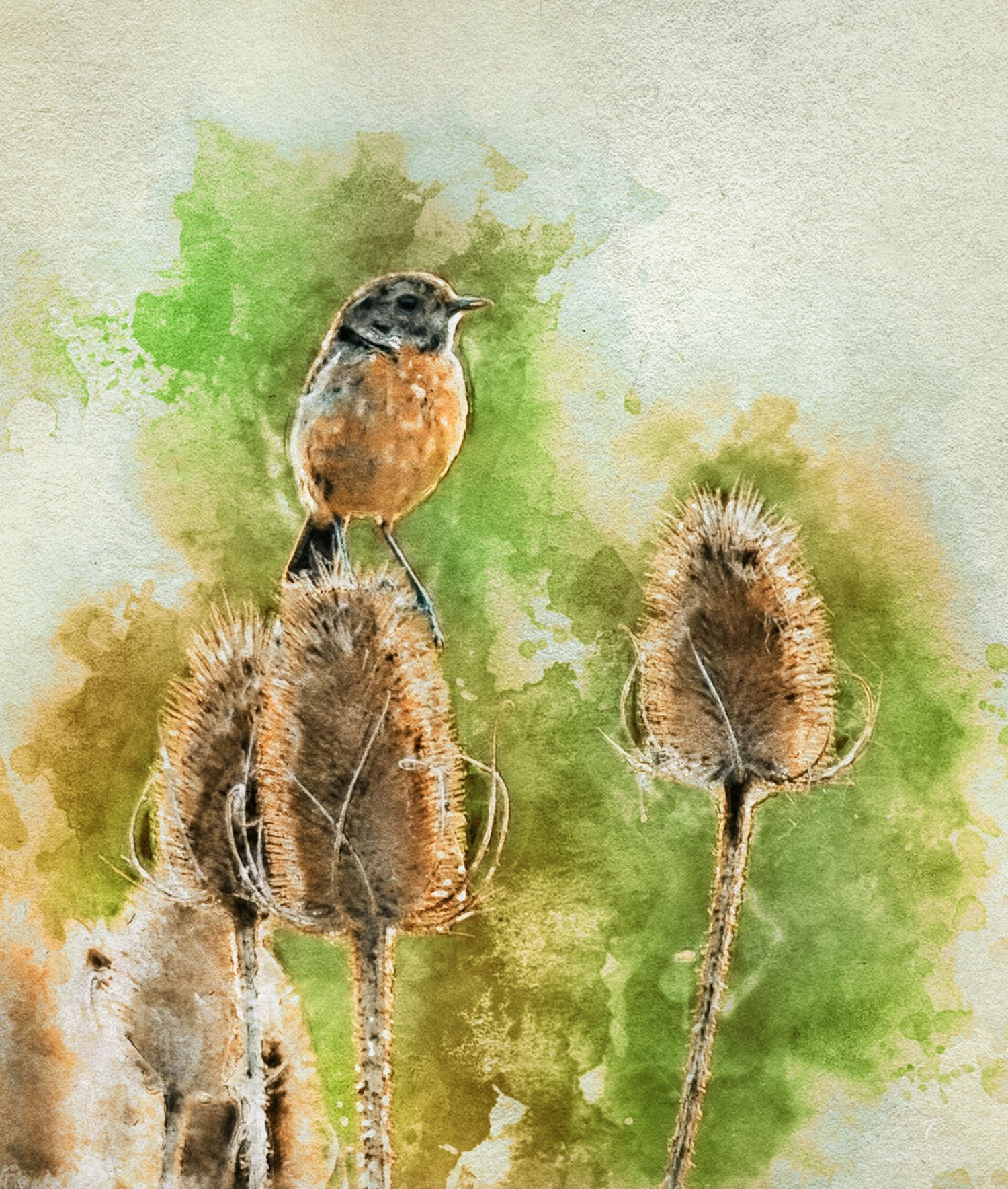Watercolor painting of a small bird perched on dried teasel plants with green and brown splashes.