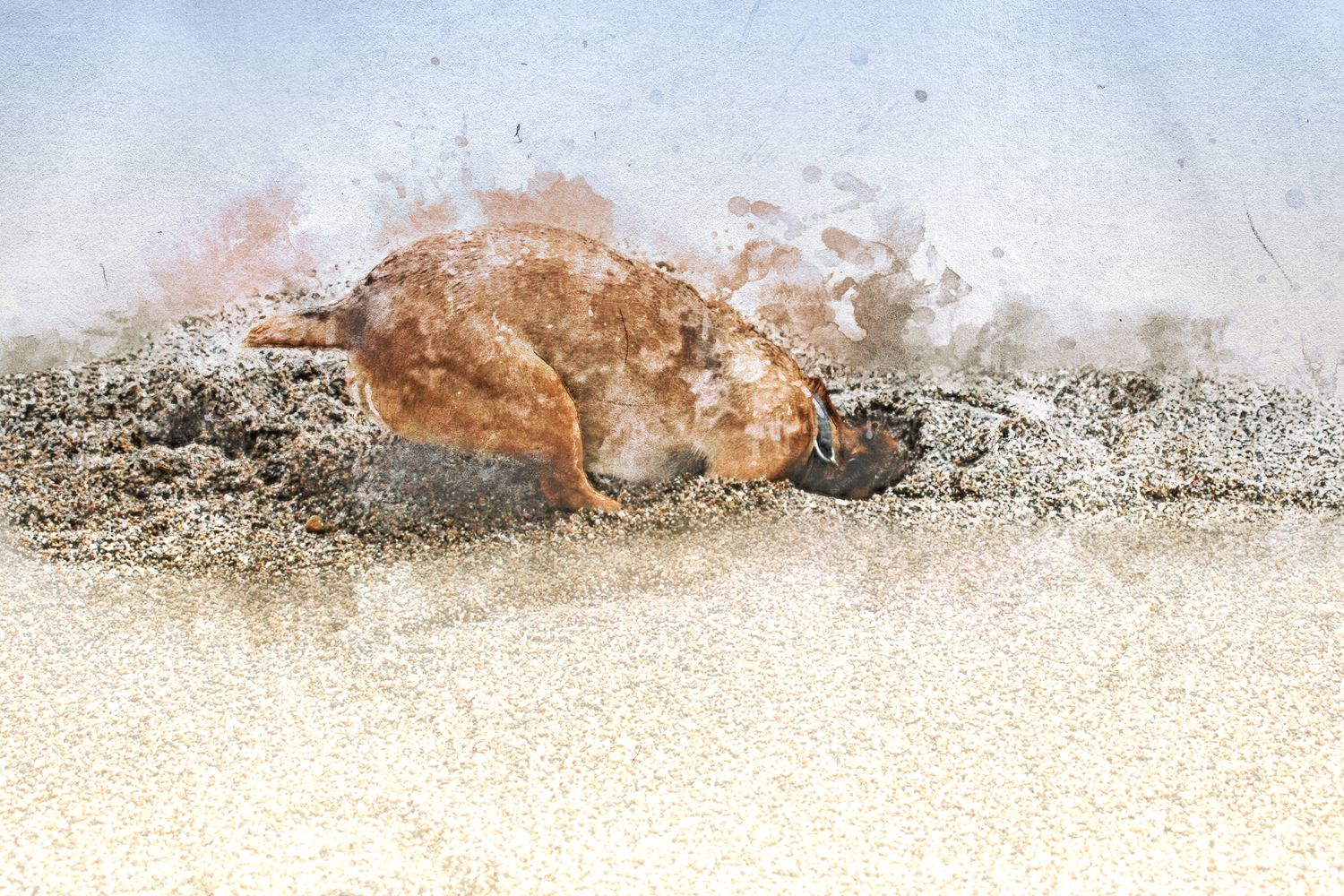 A dog crawling across sandy beach, captured in a watercolor artistic style with sandy spray around it.