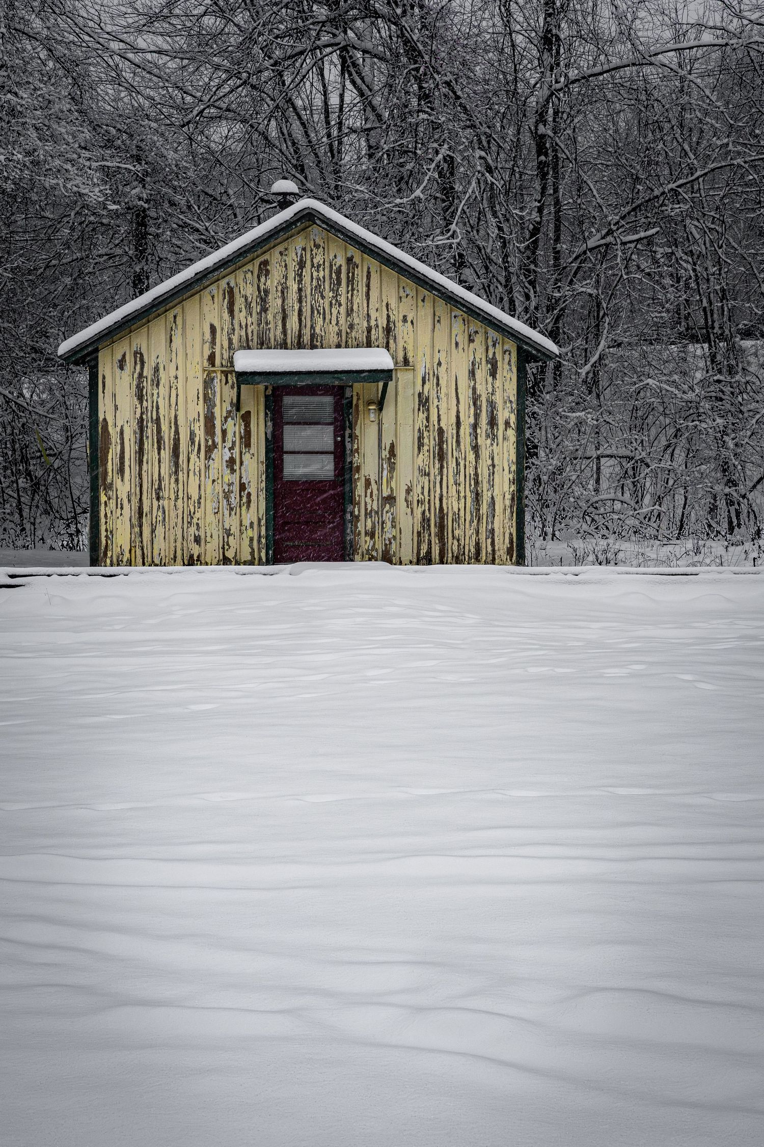 Weathered yellow shed with a red door stands against snow-covered ground and bare winter trees in Independence, New Jersey.