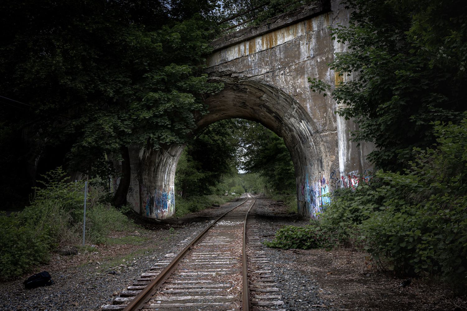 Railroad tracks leading through an abandoned stone tunnel in Portland, PA, framed by overgrown trees and graffiti