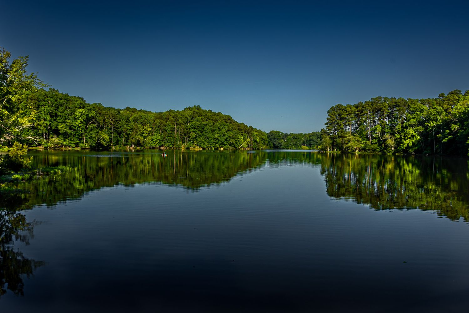 Calm lake reflection surrounded by green trees in High Point North Carolina on a clear summer day
