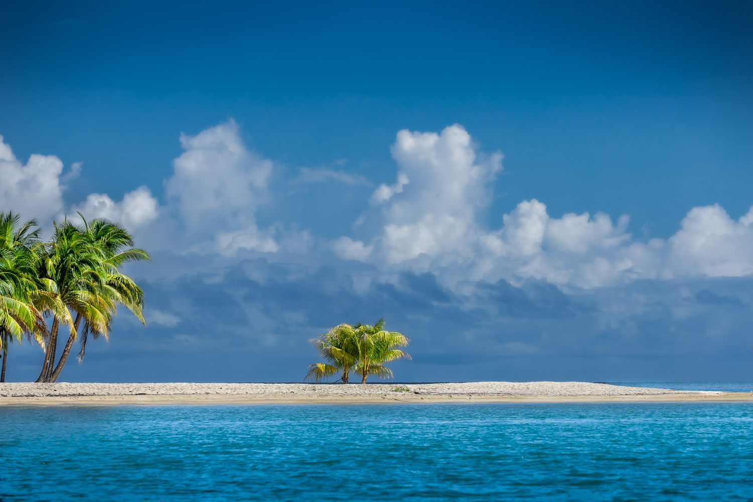 Palm trees on a small sandbar in Belize surrounded by turquoise water under dramatic blue sky and tropical clouds.
